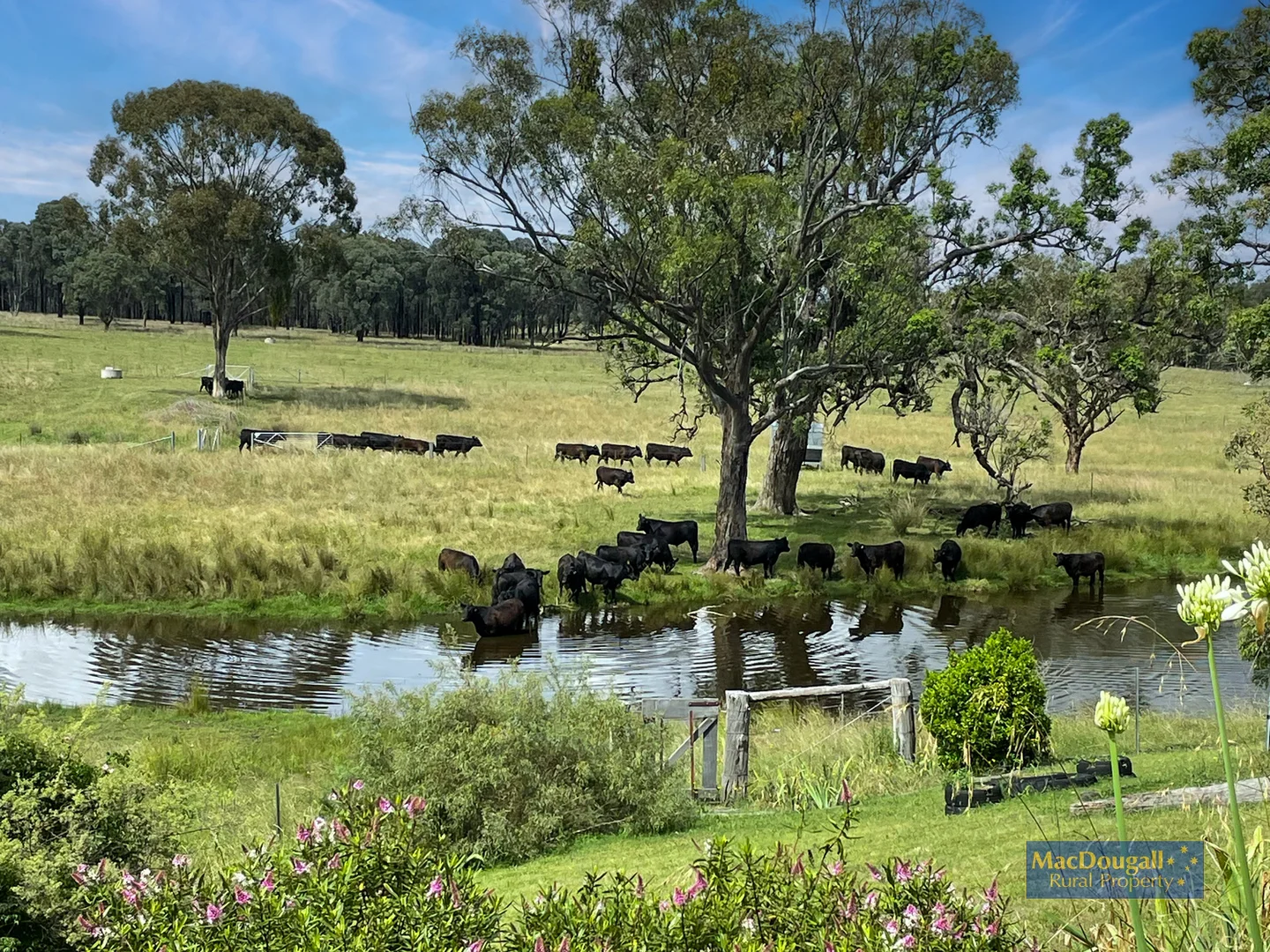 384 Dry Creek Road - Image 3