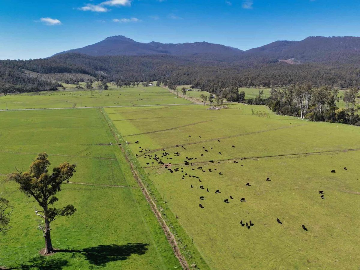 38791 Tasman Highway (1/3)