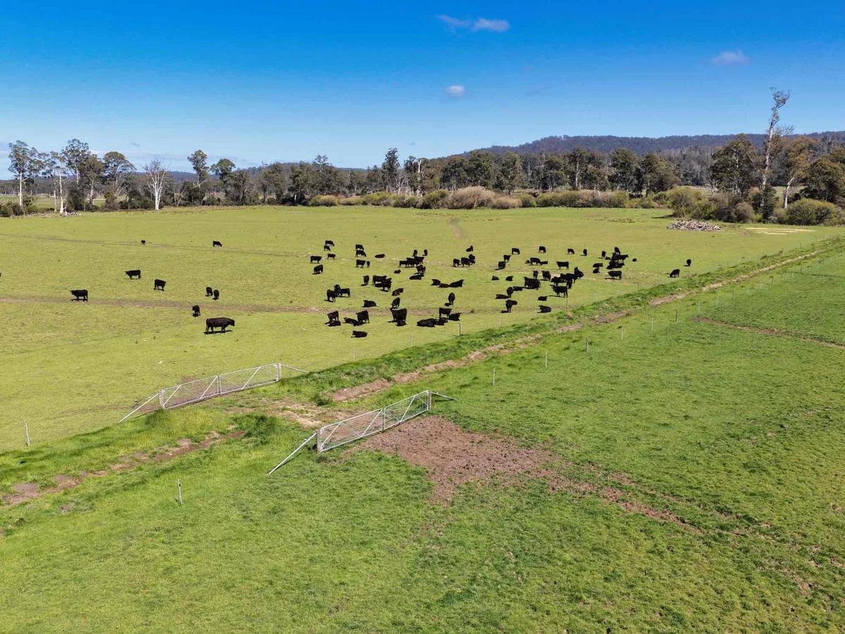 38791 Tasman Highway - Image 5