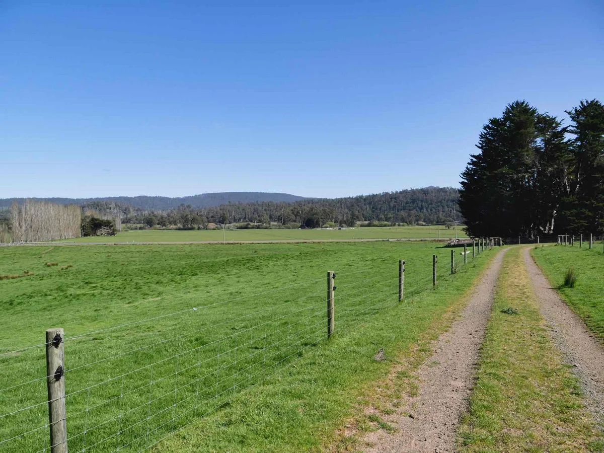 38791 Tasman Highway - Image 4