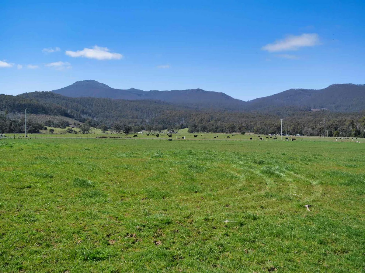 38791 Tasman Highway - Image 3