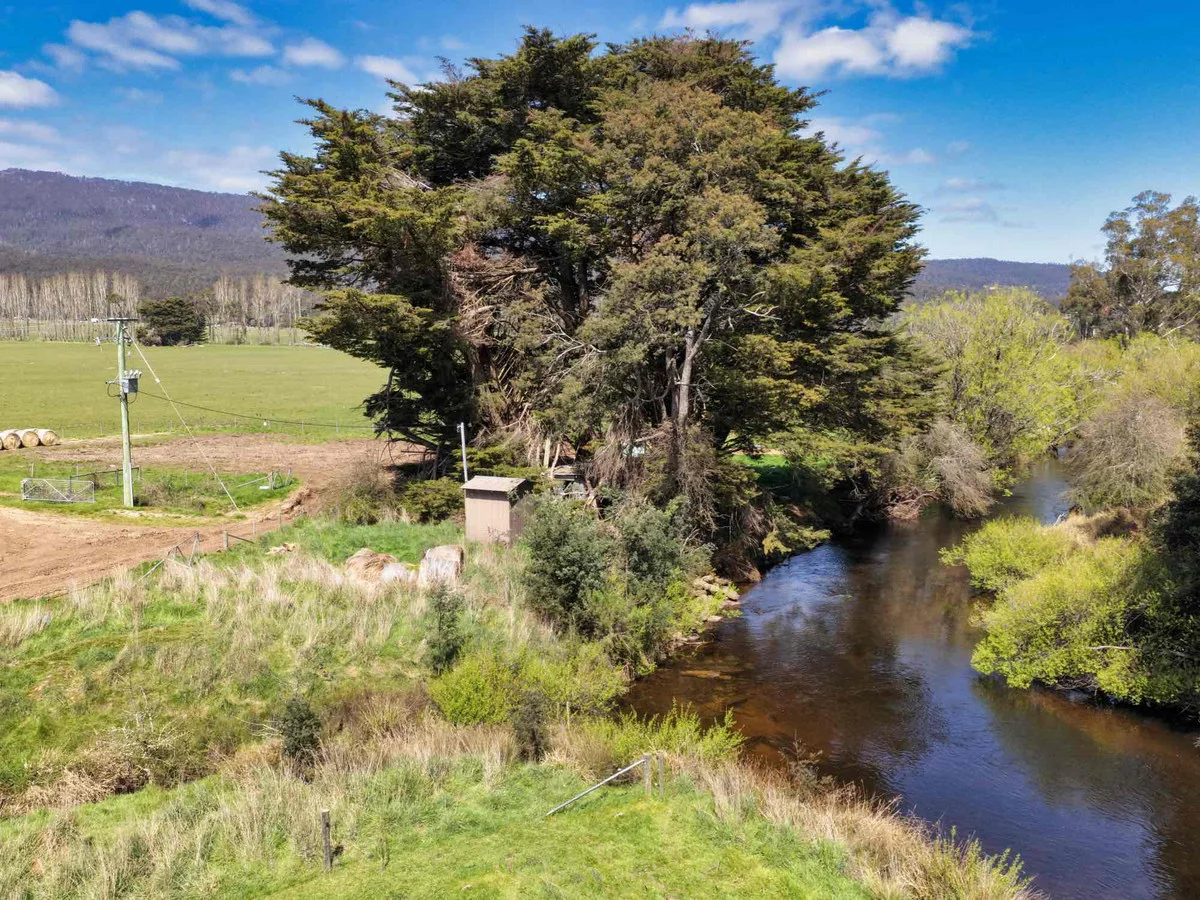 38791 Tasman Highway - Image 2