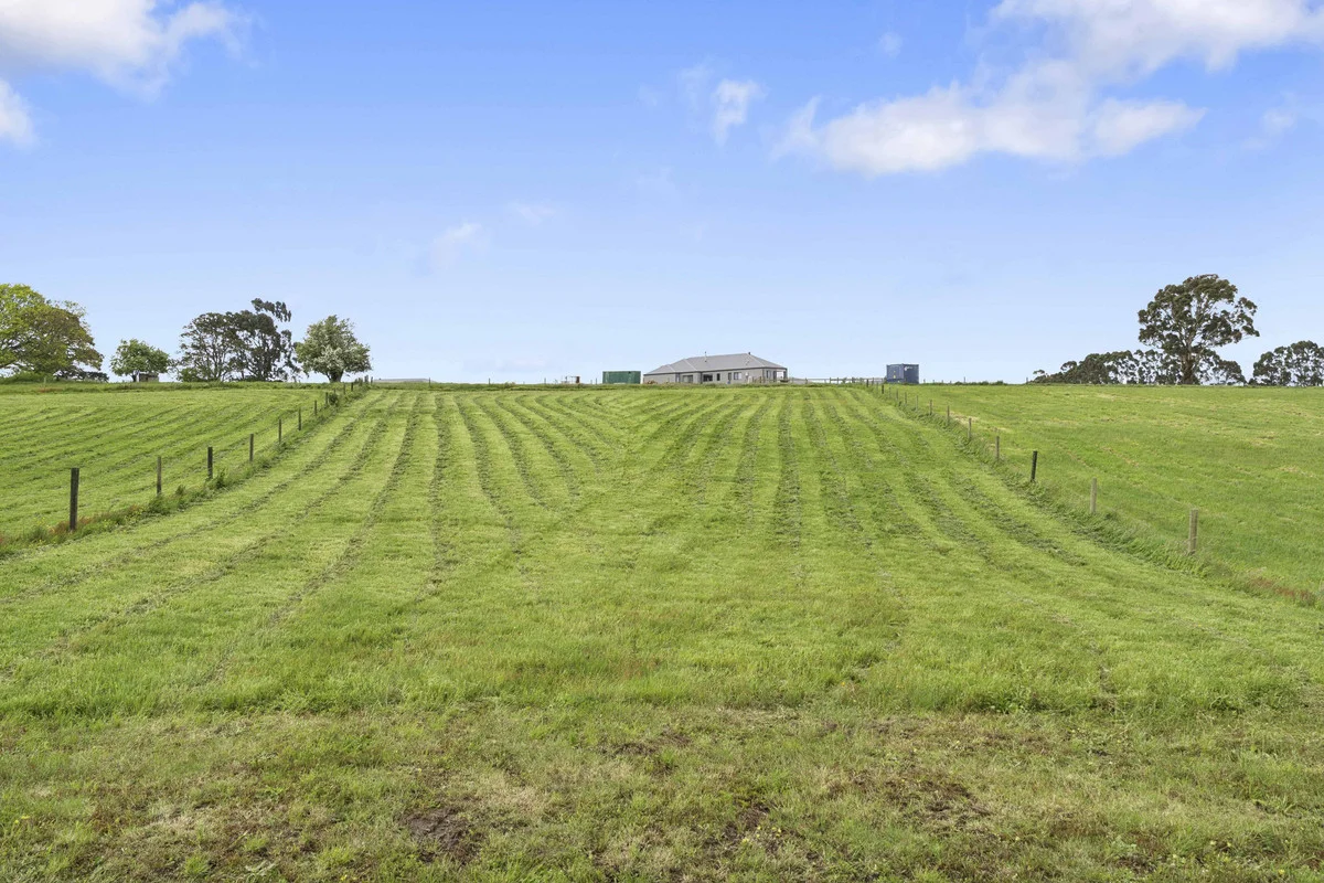 39 Kirriemuir Court - Image 4