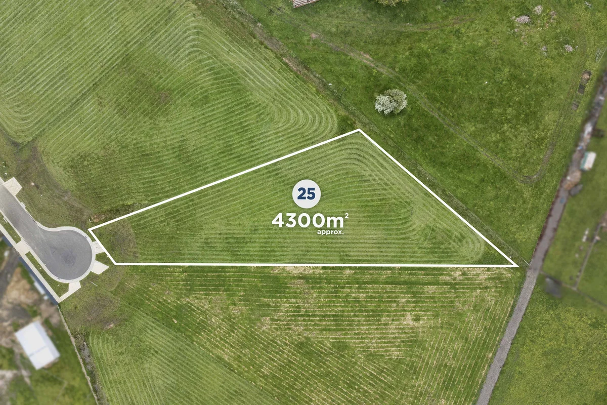 39 Kirriemuir Court - Image 3