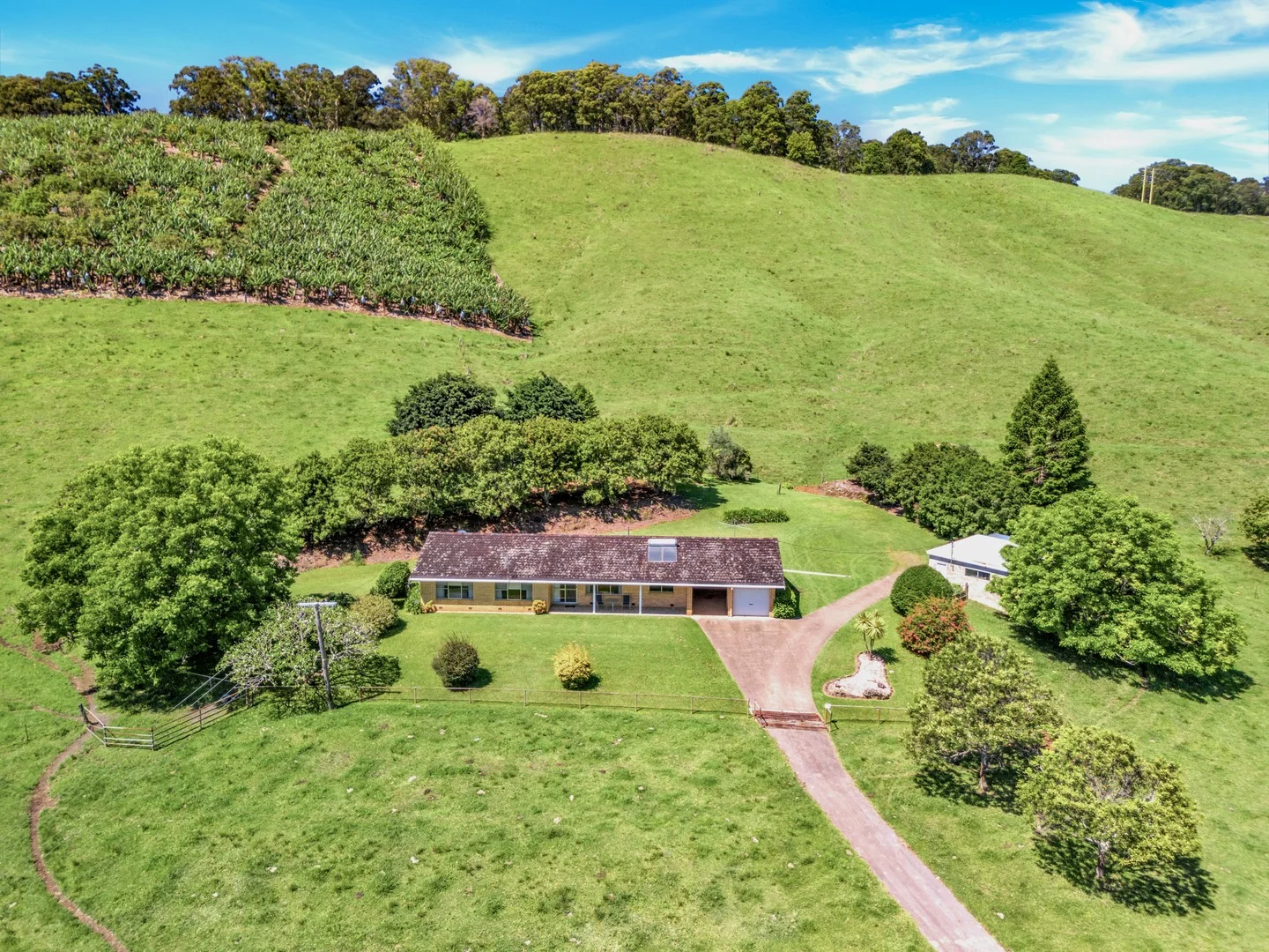 39 Wedds Road (1/35)