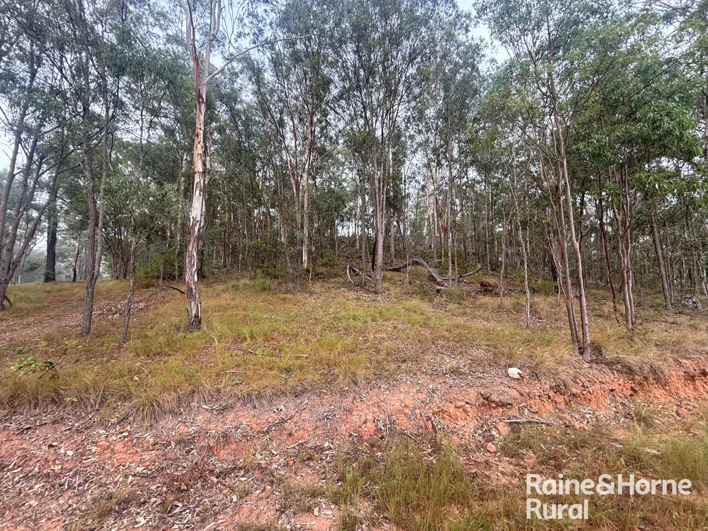397 Wattle Camp Road - Image 4