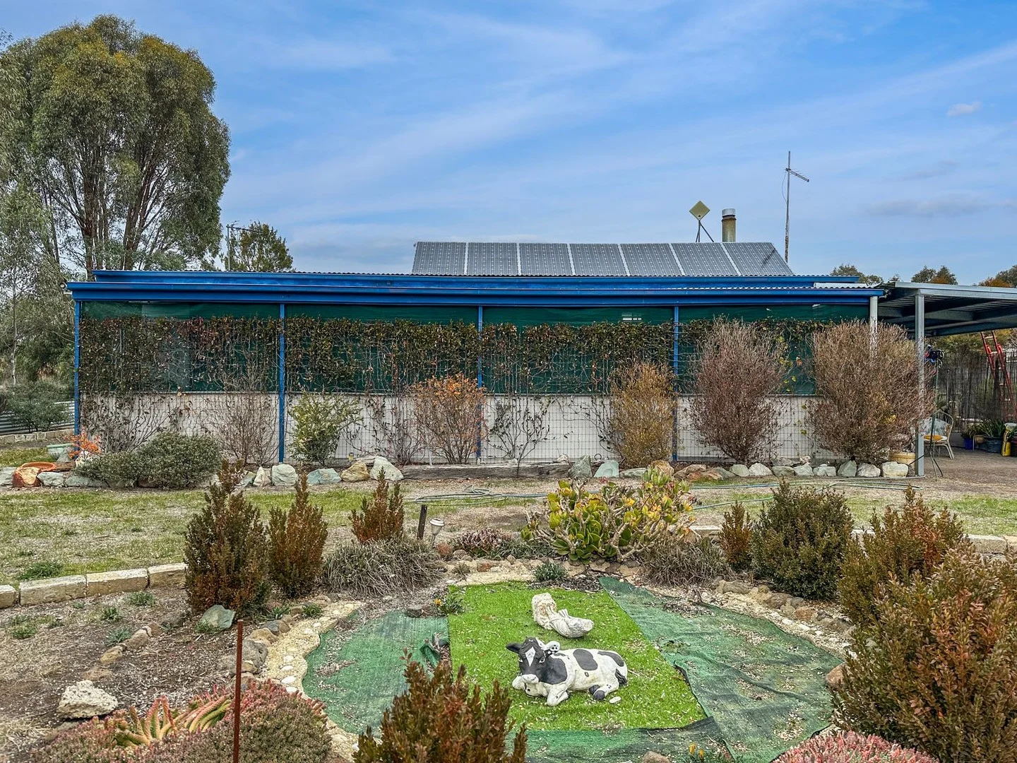 398 Bet Bet Creek Road (1/11)