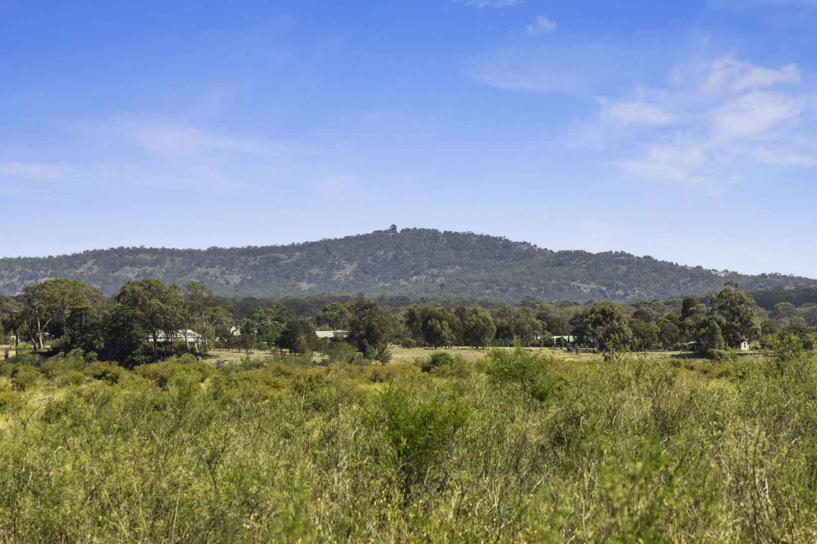 3A Albert Street - Image 3