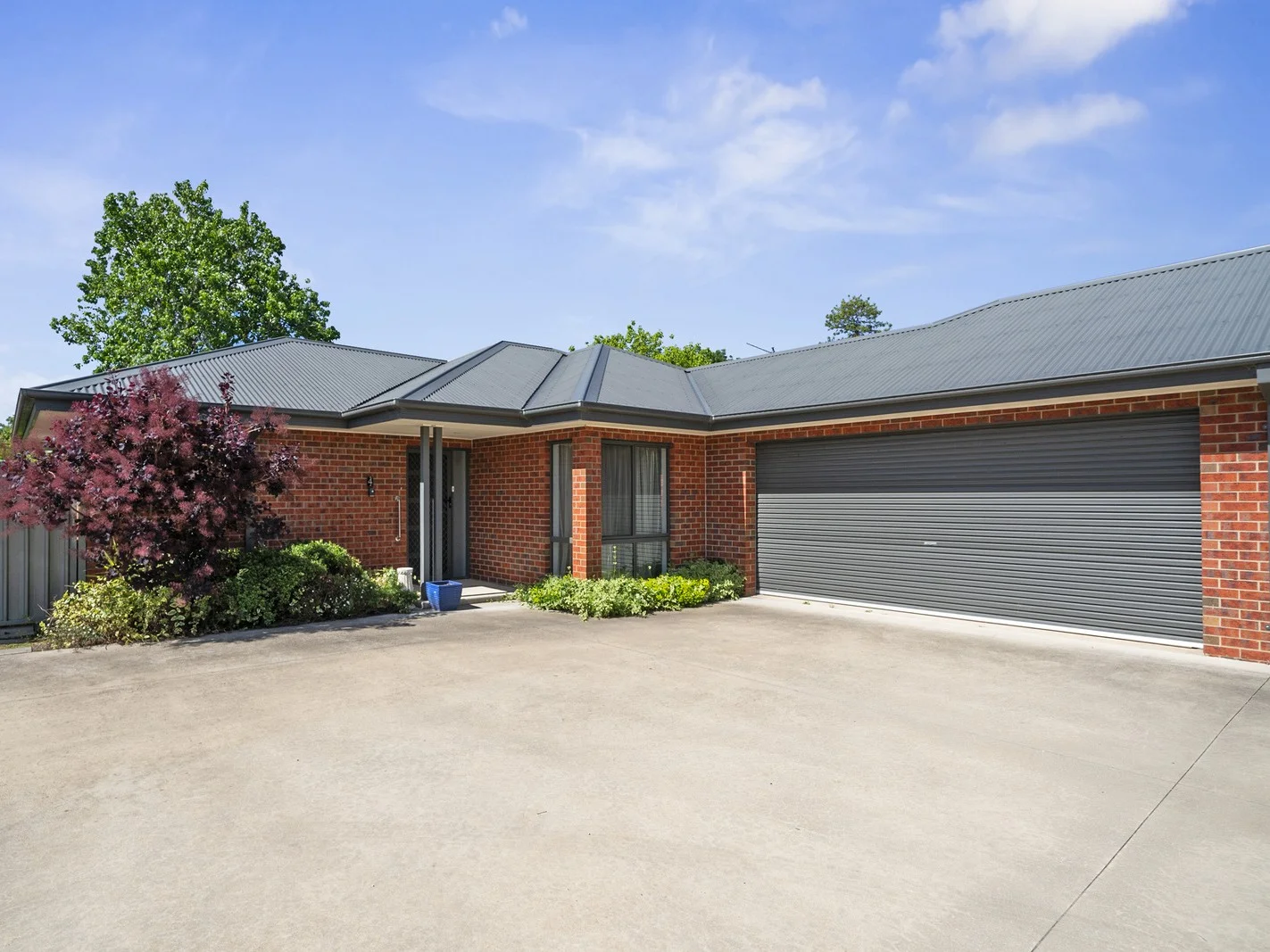 4/29 Curia Street (1/13)