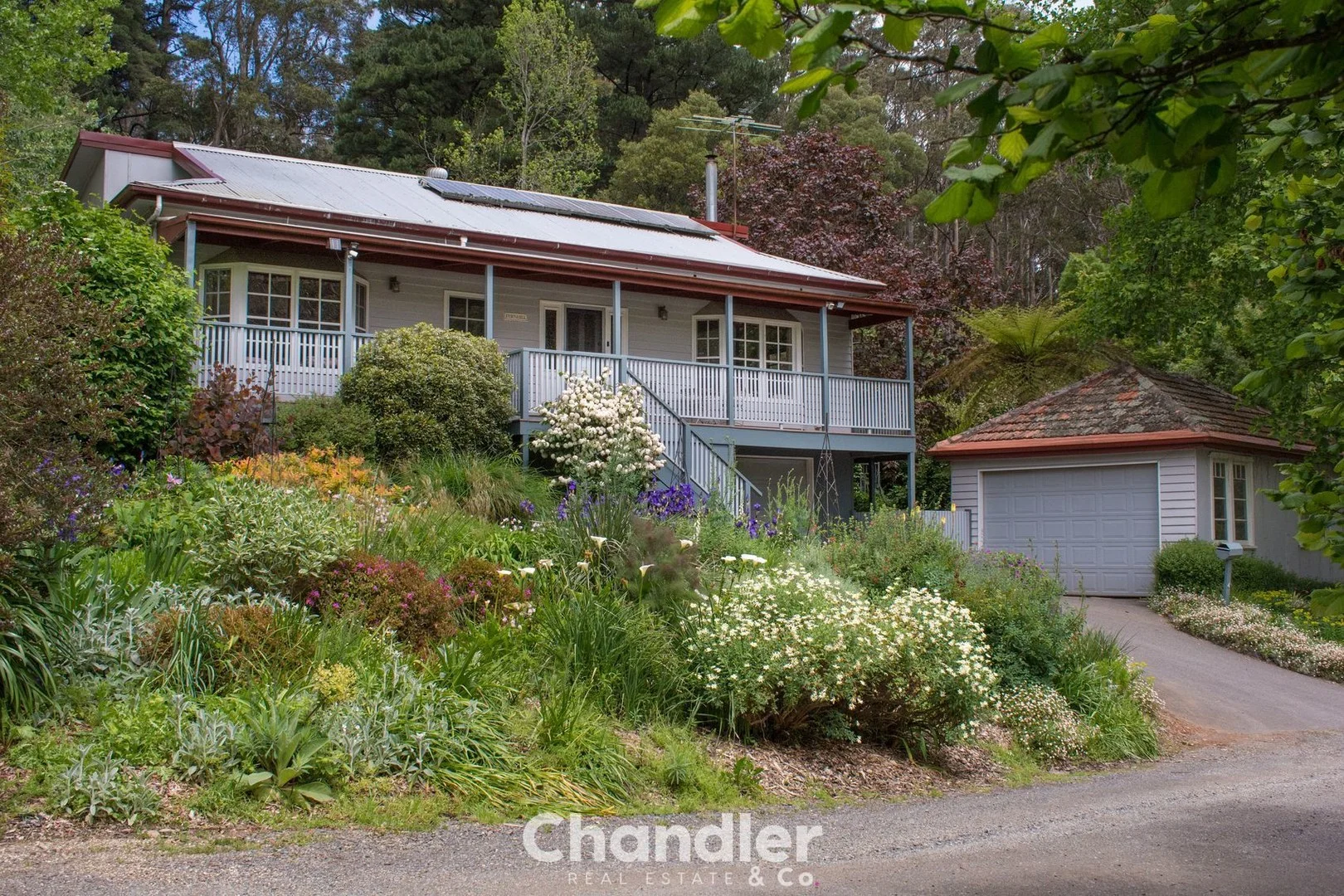 4 Anderson Street (1/29)