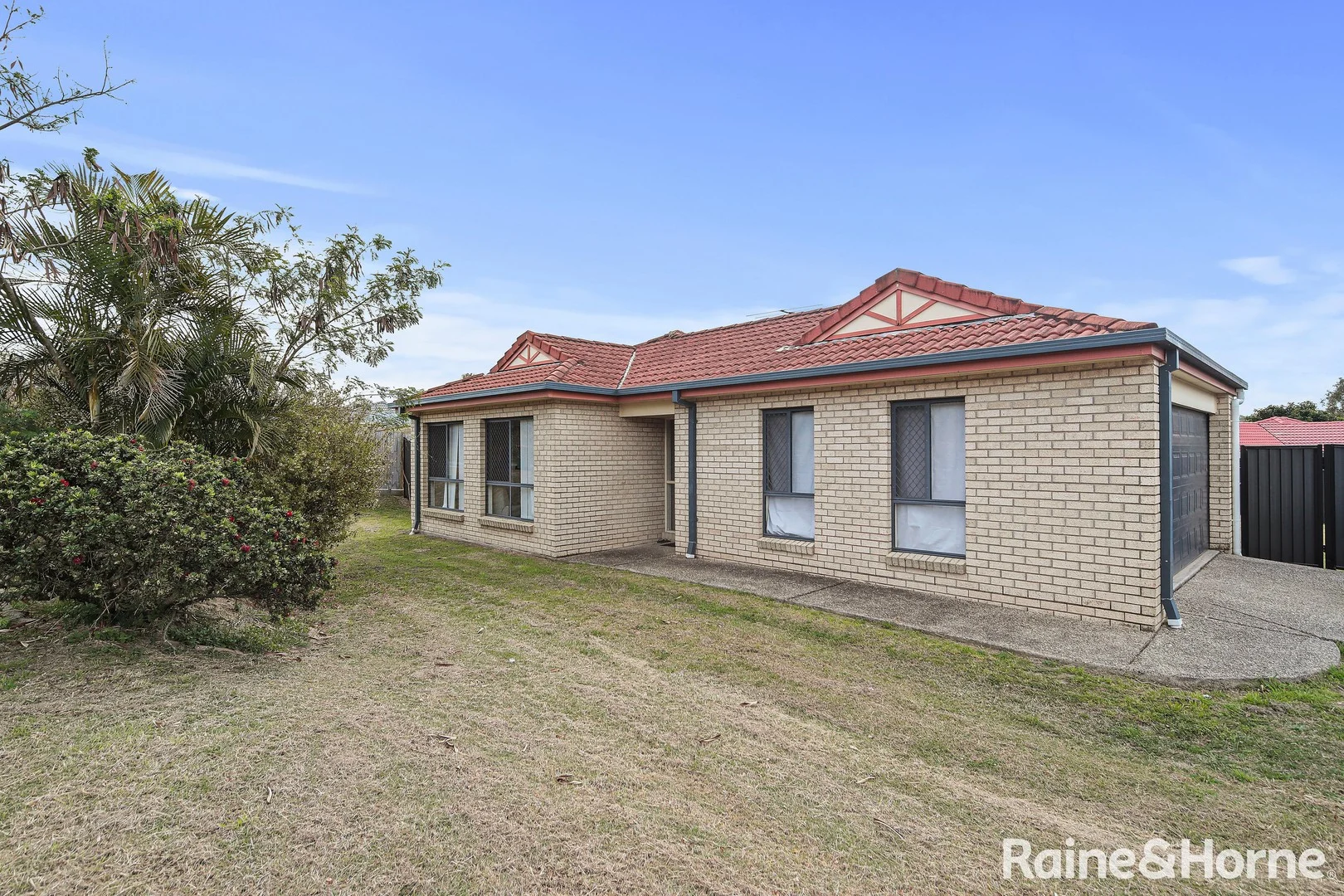 4 Colane Street (1/11)