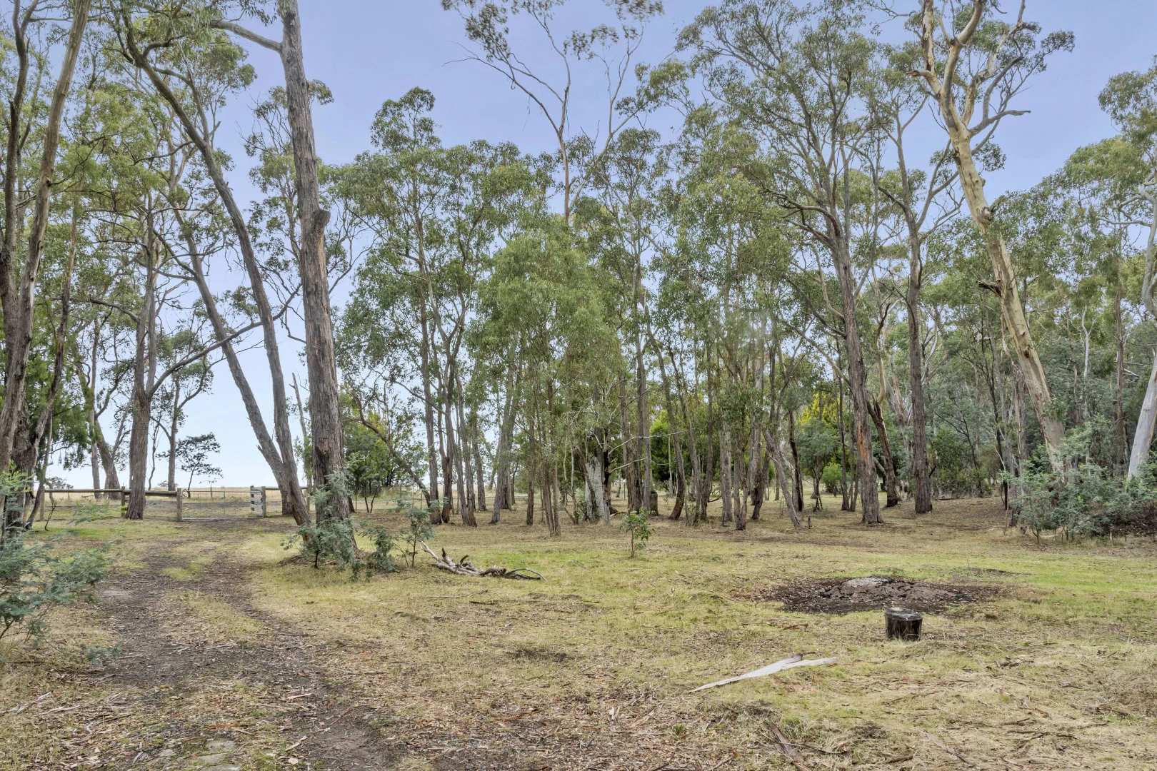 4 Liza Drive - Image 4