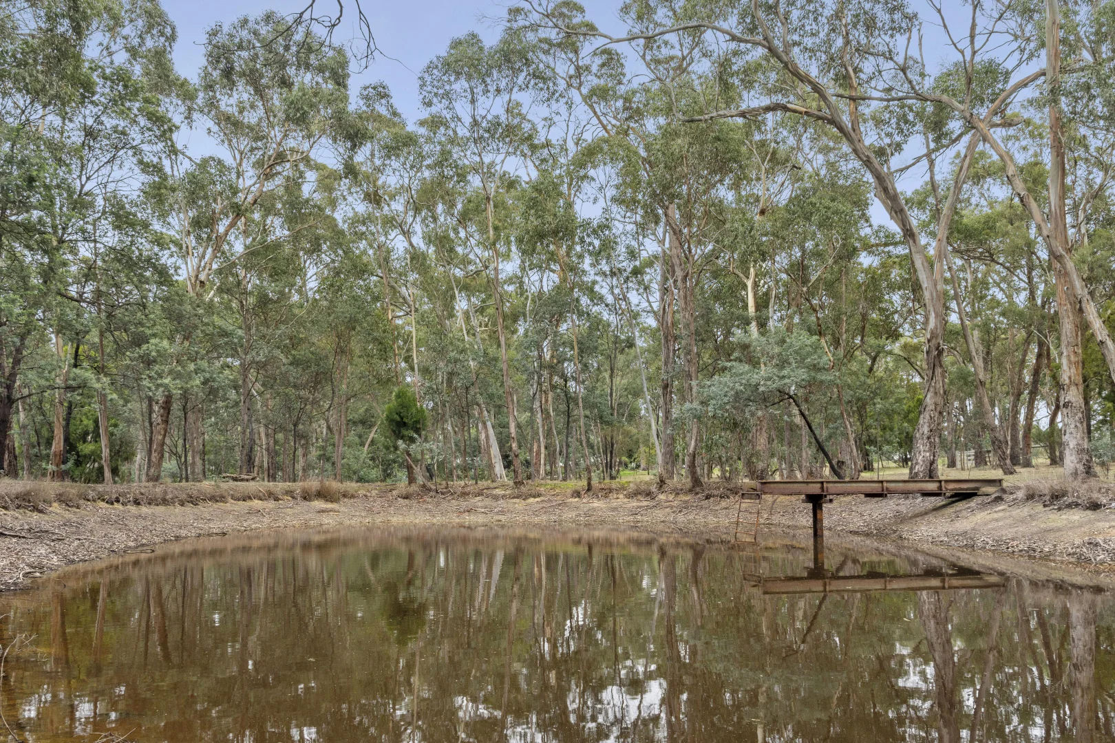 4 Liza Drive - Image 3