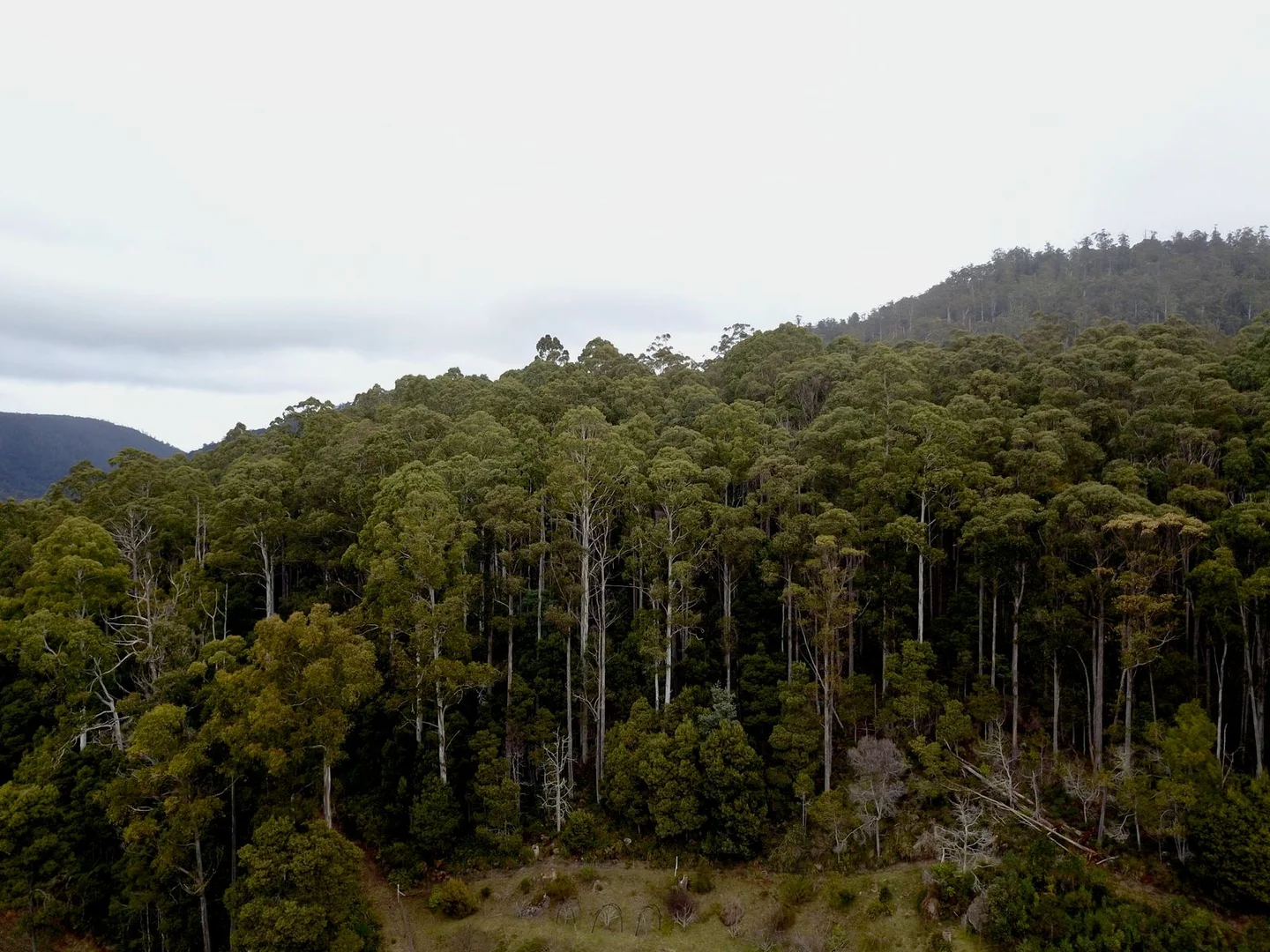 400 Olivers Road - Image 3