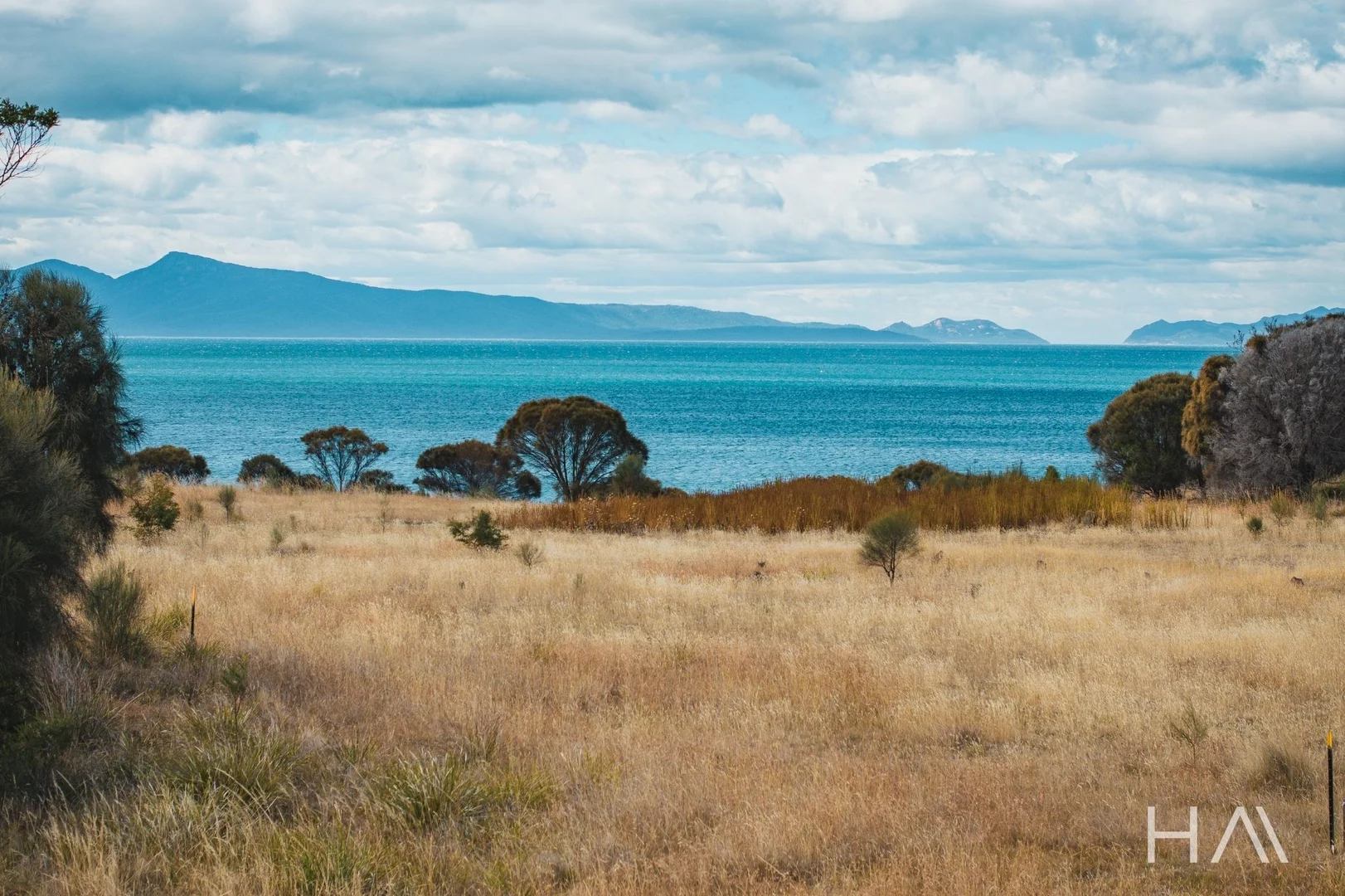 401 & 403/12990 Tasman Highway - Image 2