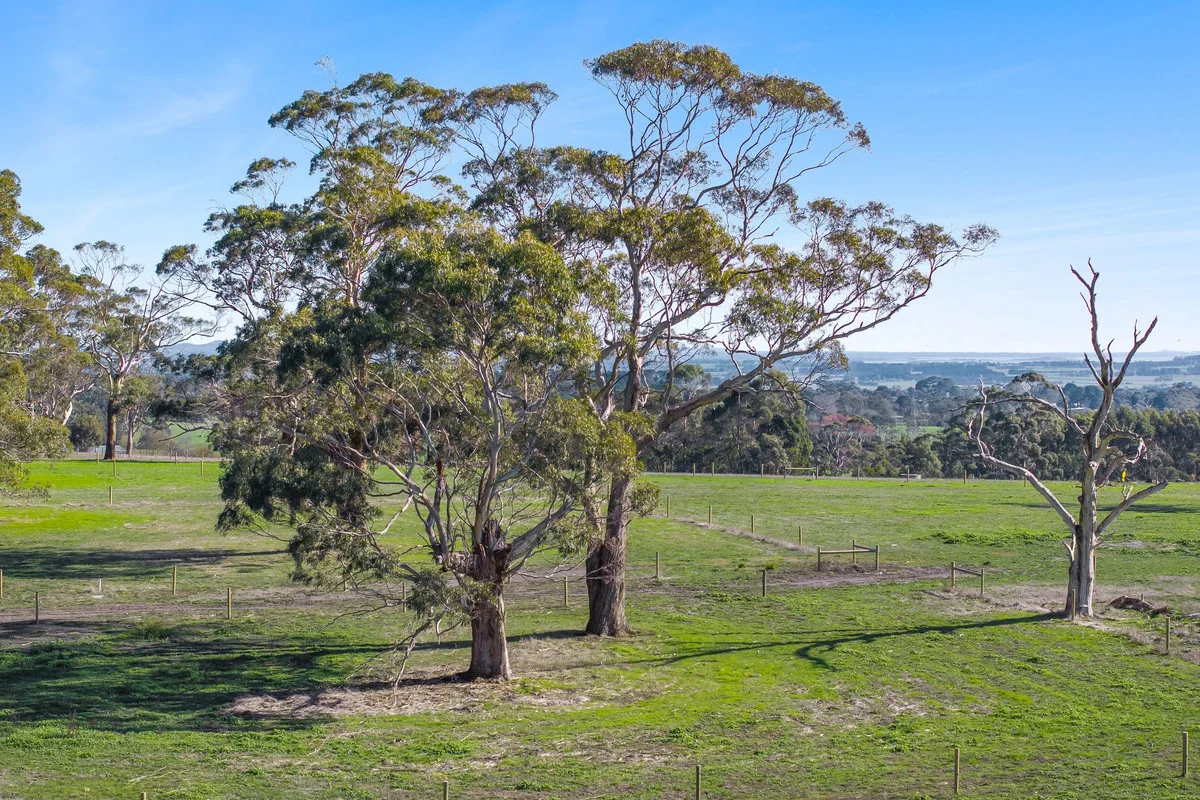 41 Holts Road - Image 3
