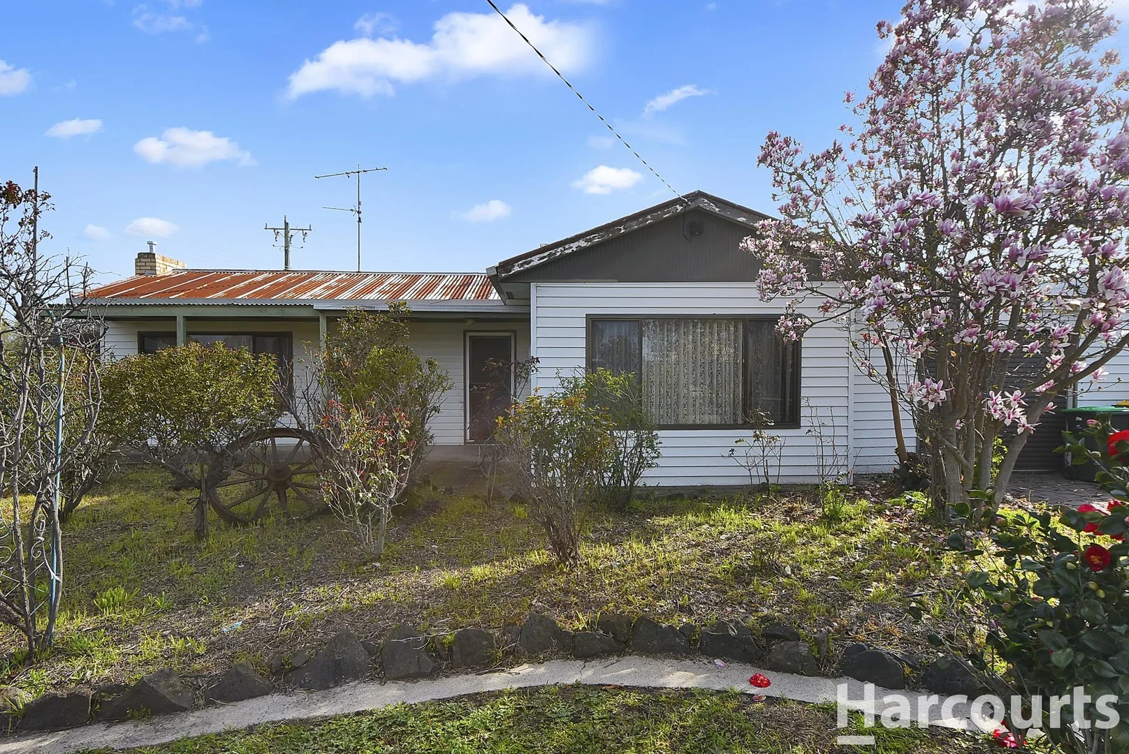 42 Edith Street (1/13)