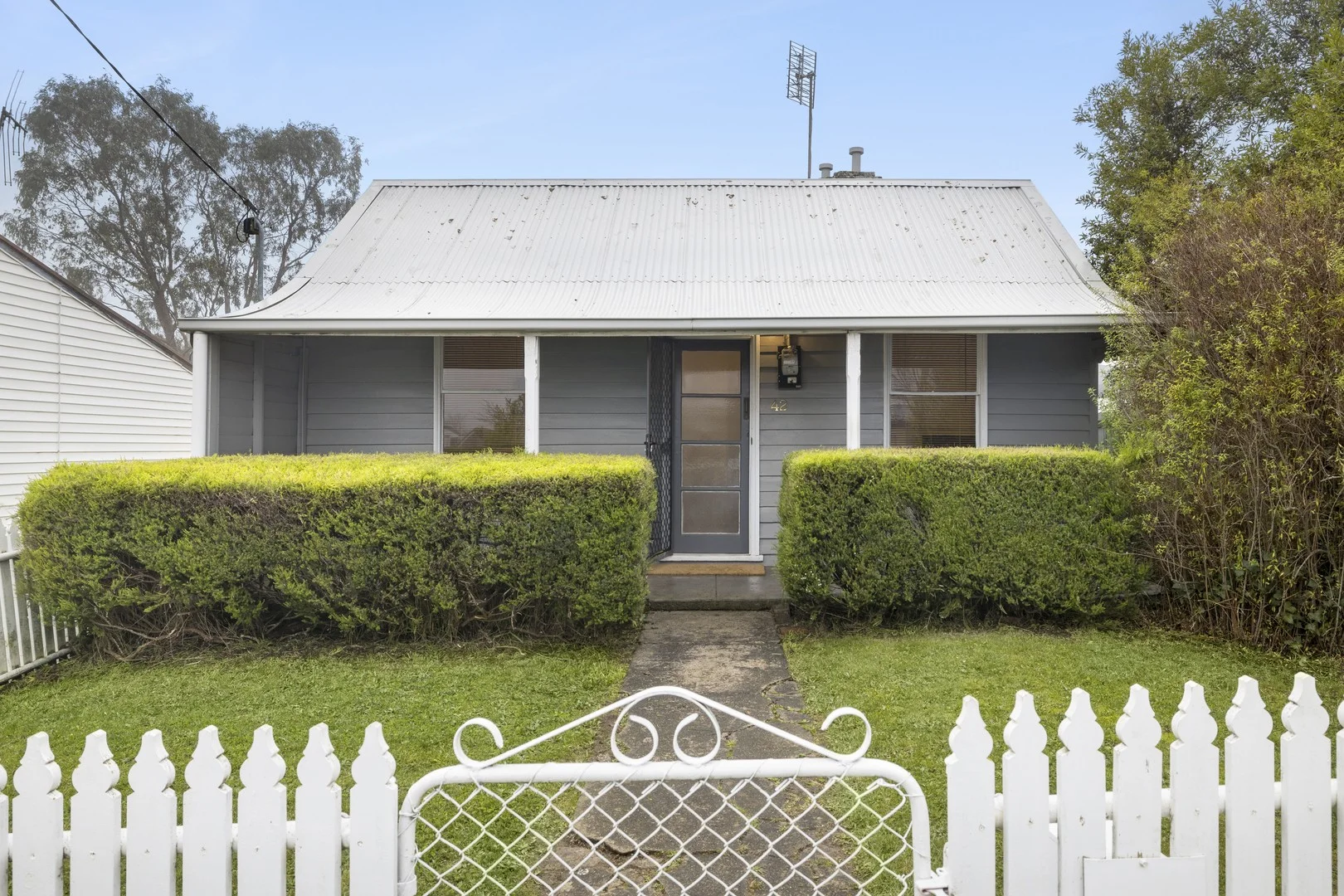 42 Hutton Street (1/17)
