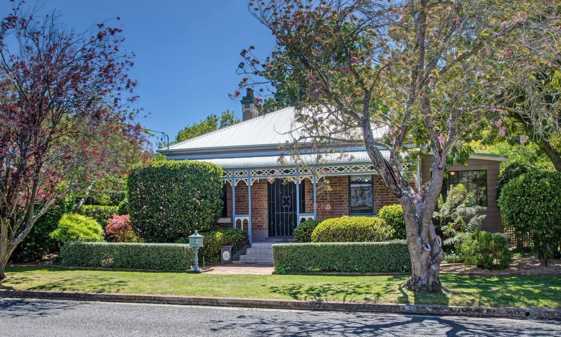 43 Alfred St (1/1)