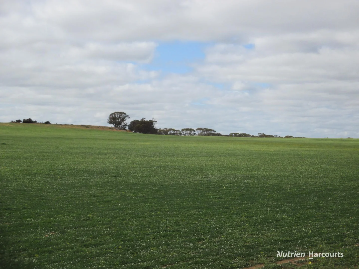 4333 Kulin Holt Rock Road - Image 3