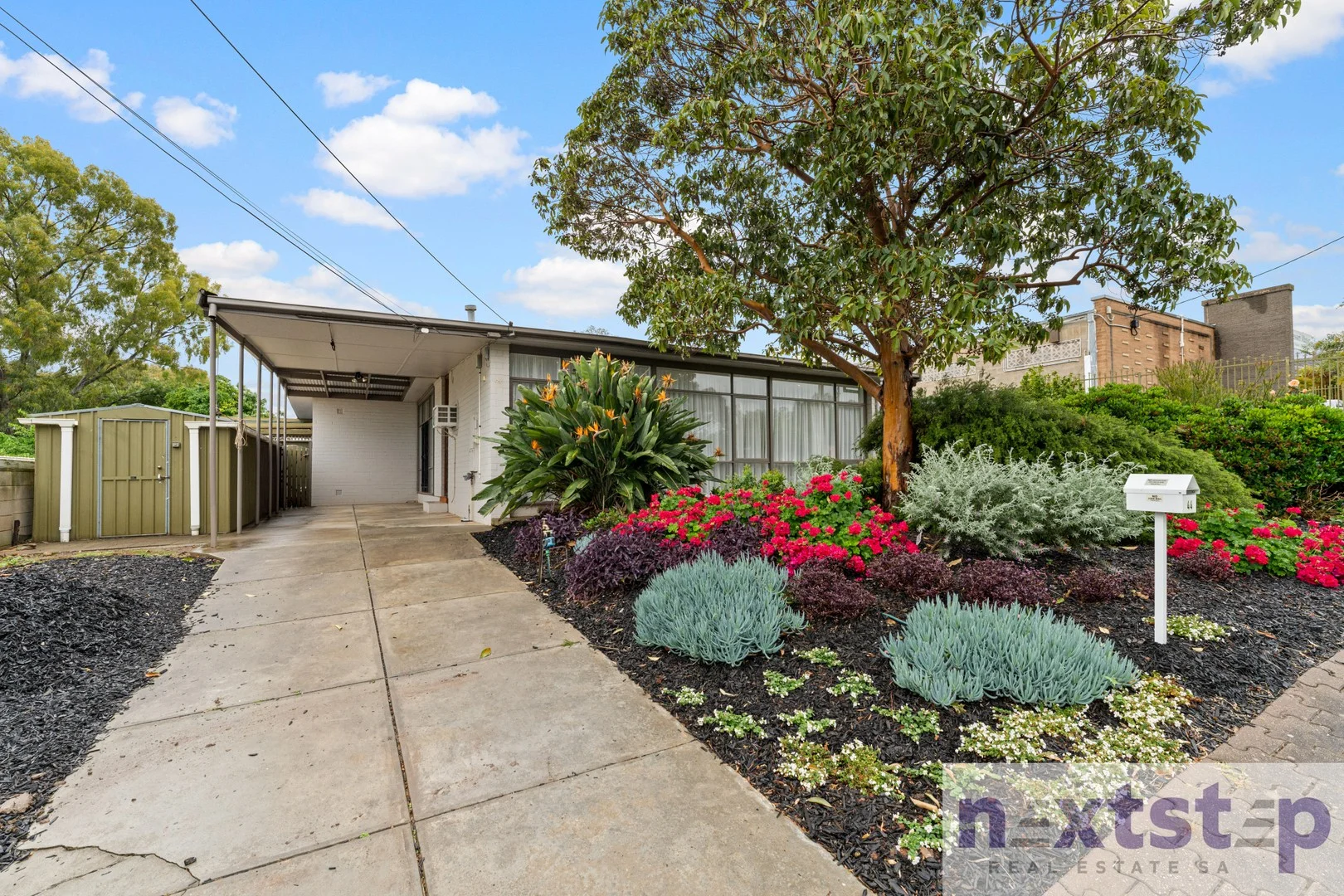 44 Murrell Road (1/13)
