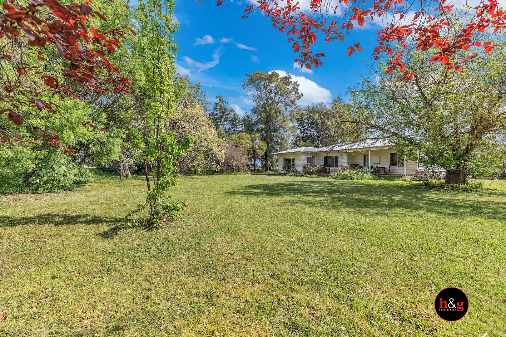 45 Hickey Avenue - Image 4