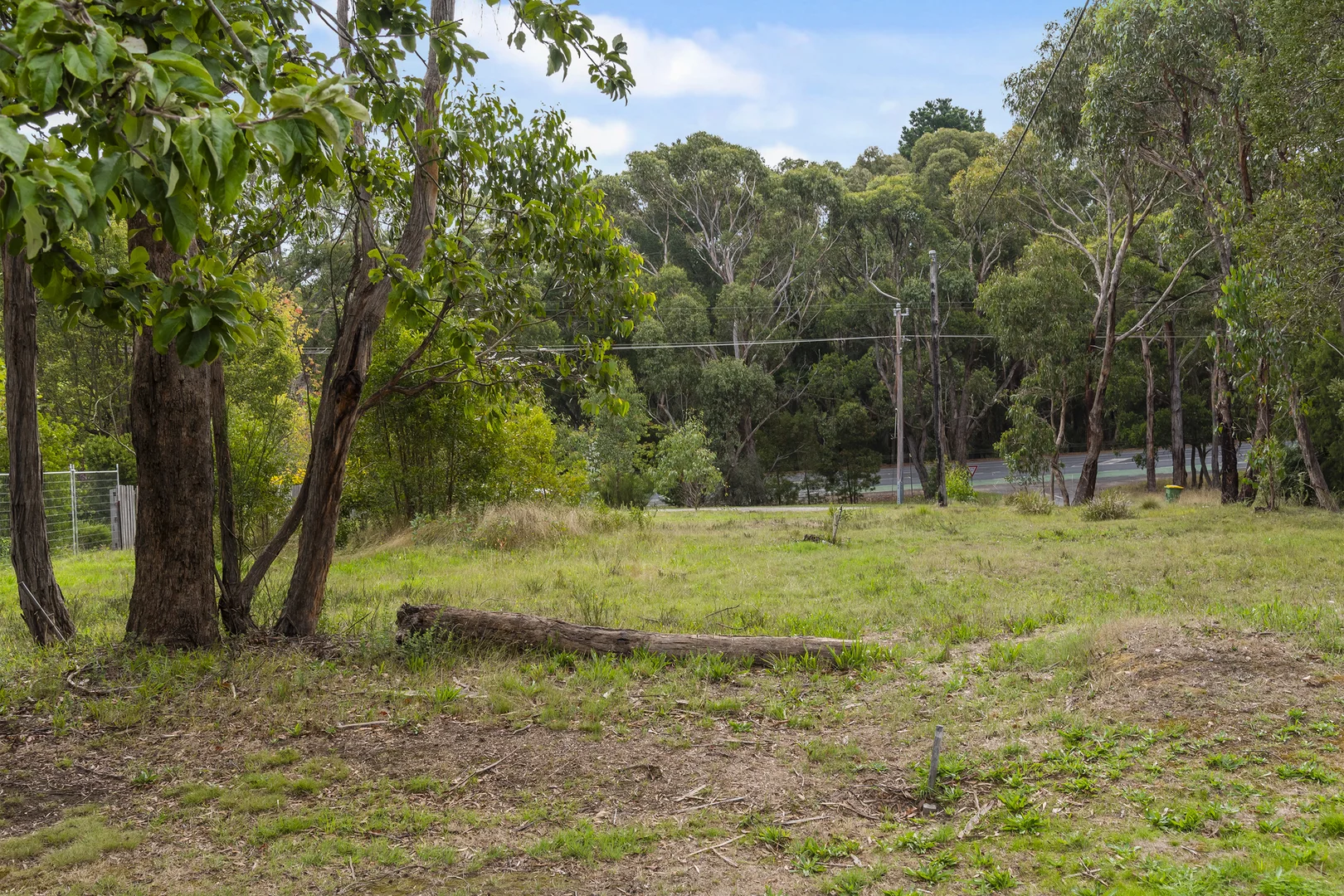 450 Black Forest Drive - Image 5