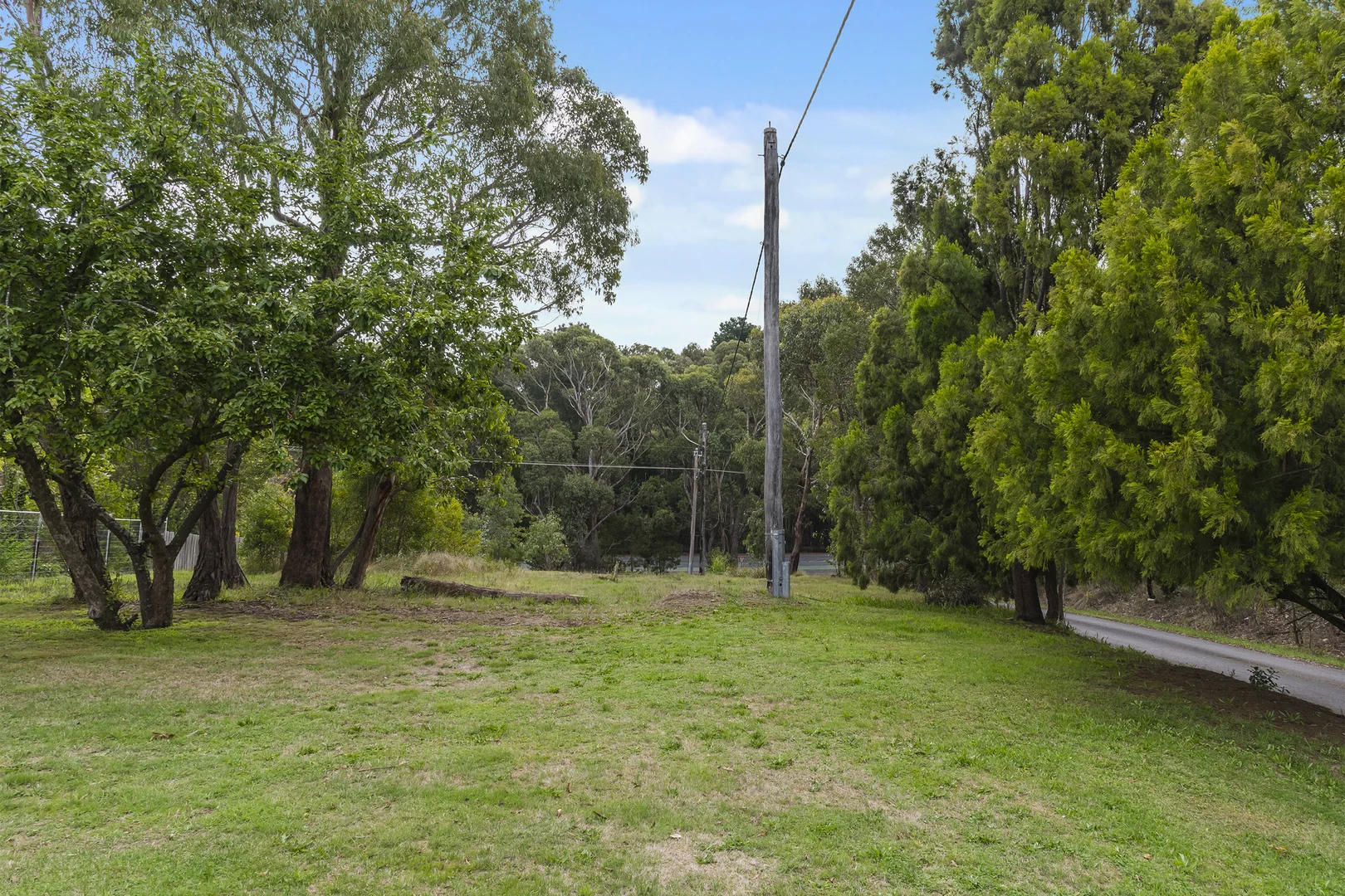 450 Black Forest Drive - Image 4