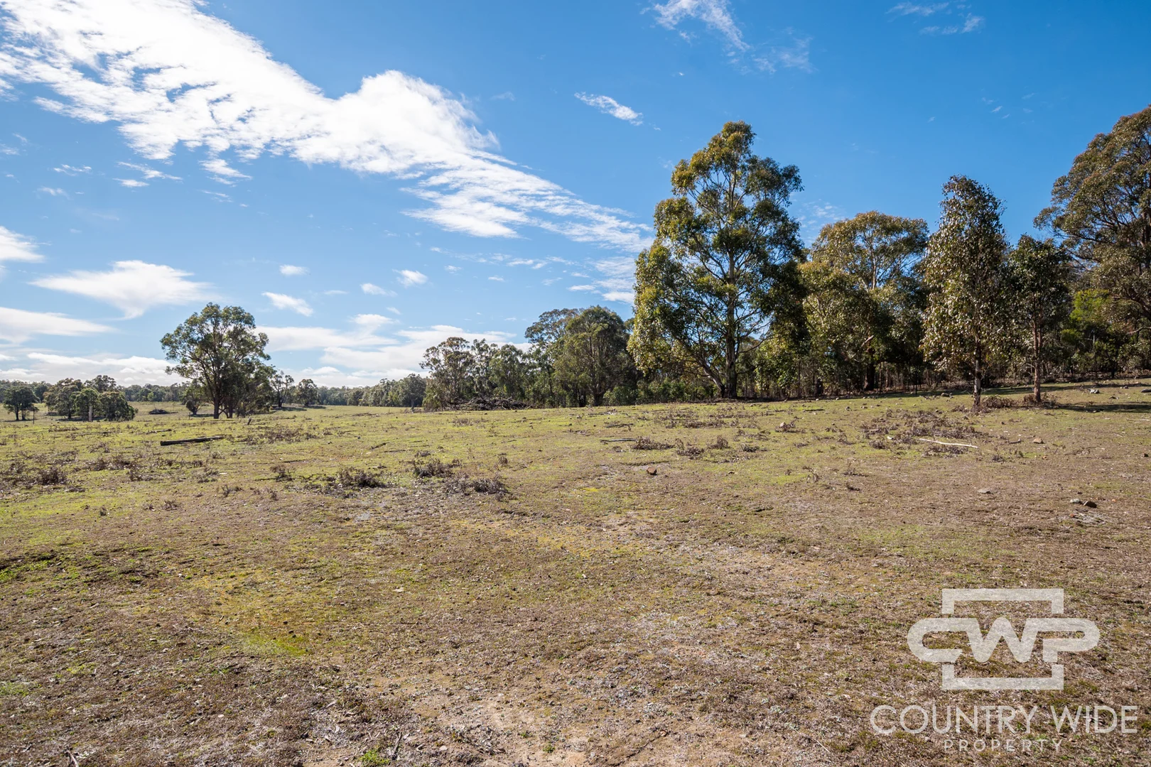 454 Silent Grove Road - Image 4