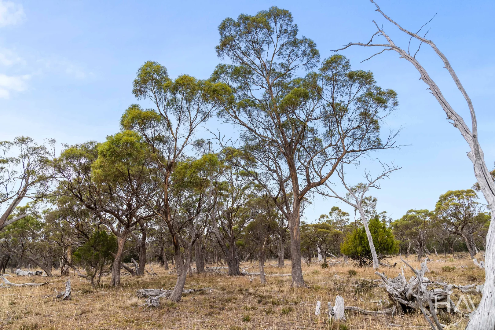 46 Crossins Road - Image 5