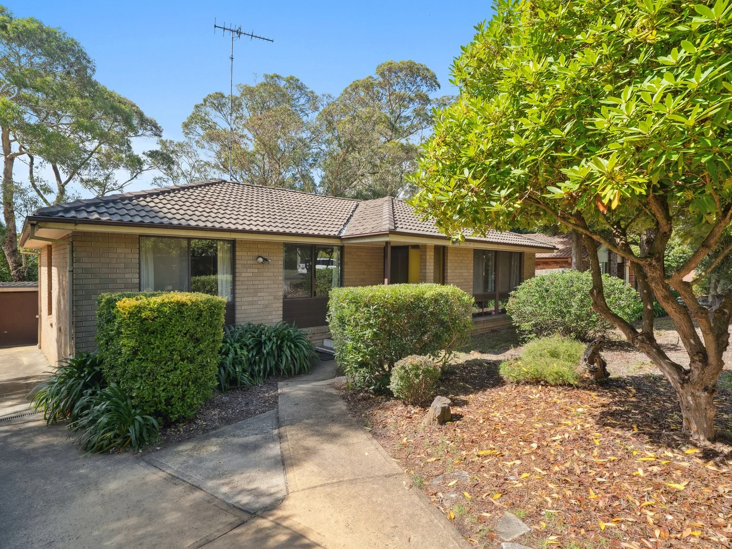 46 Evans Lookout Rd (1/1)