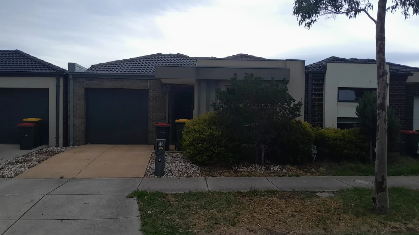 46 Perennial Drive (1/1)