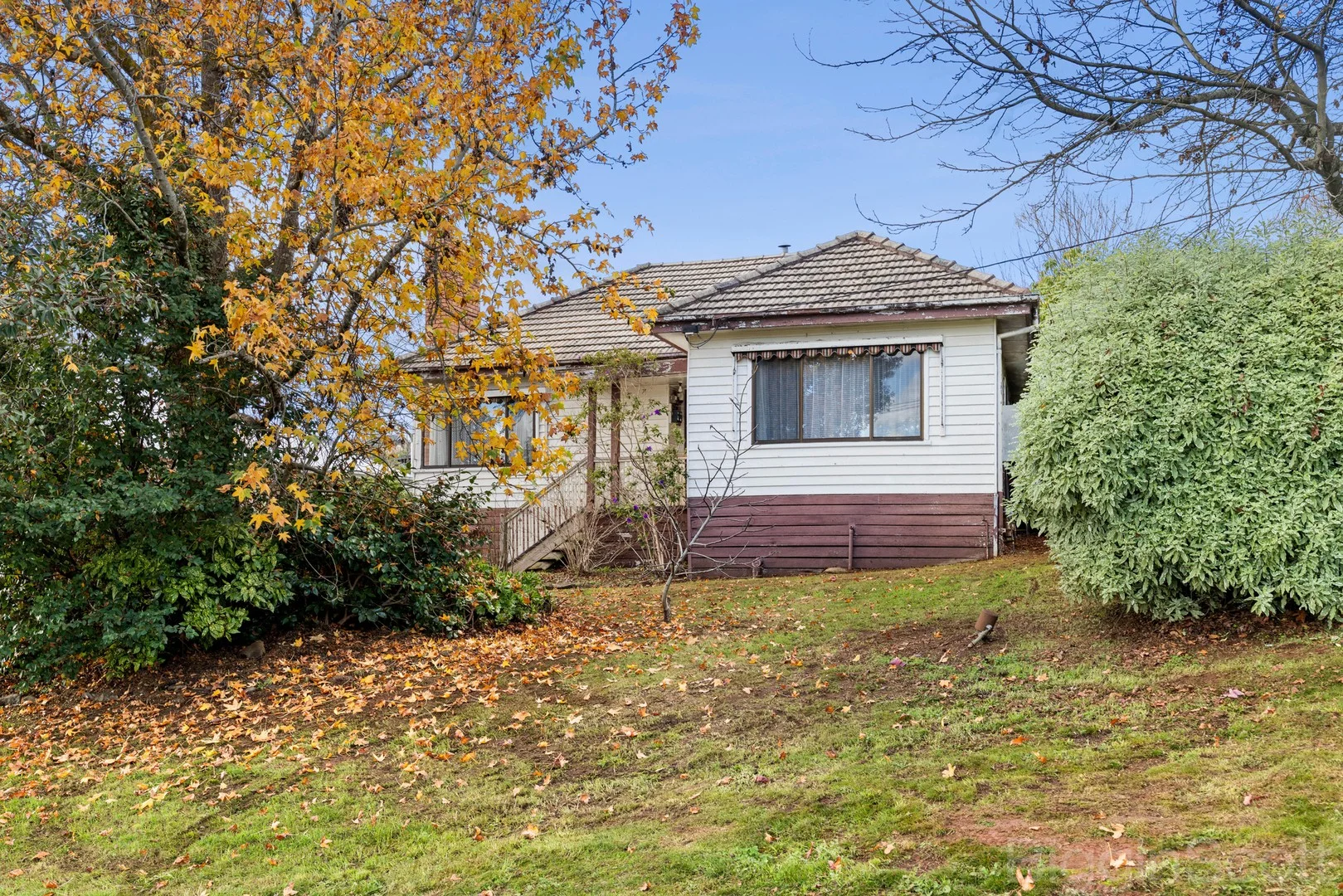 47 Jamieson Street (1/20)