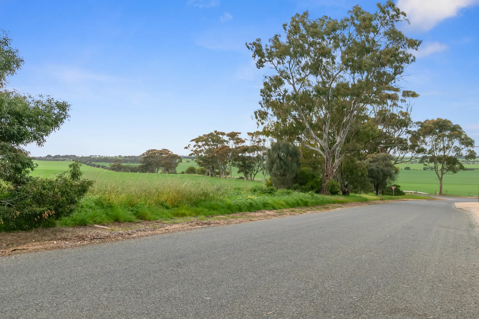49 North Terrace - Image 4