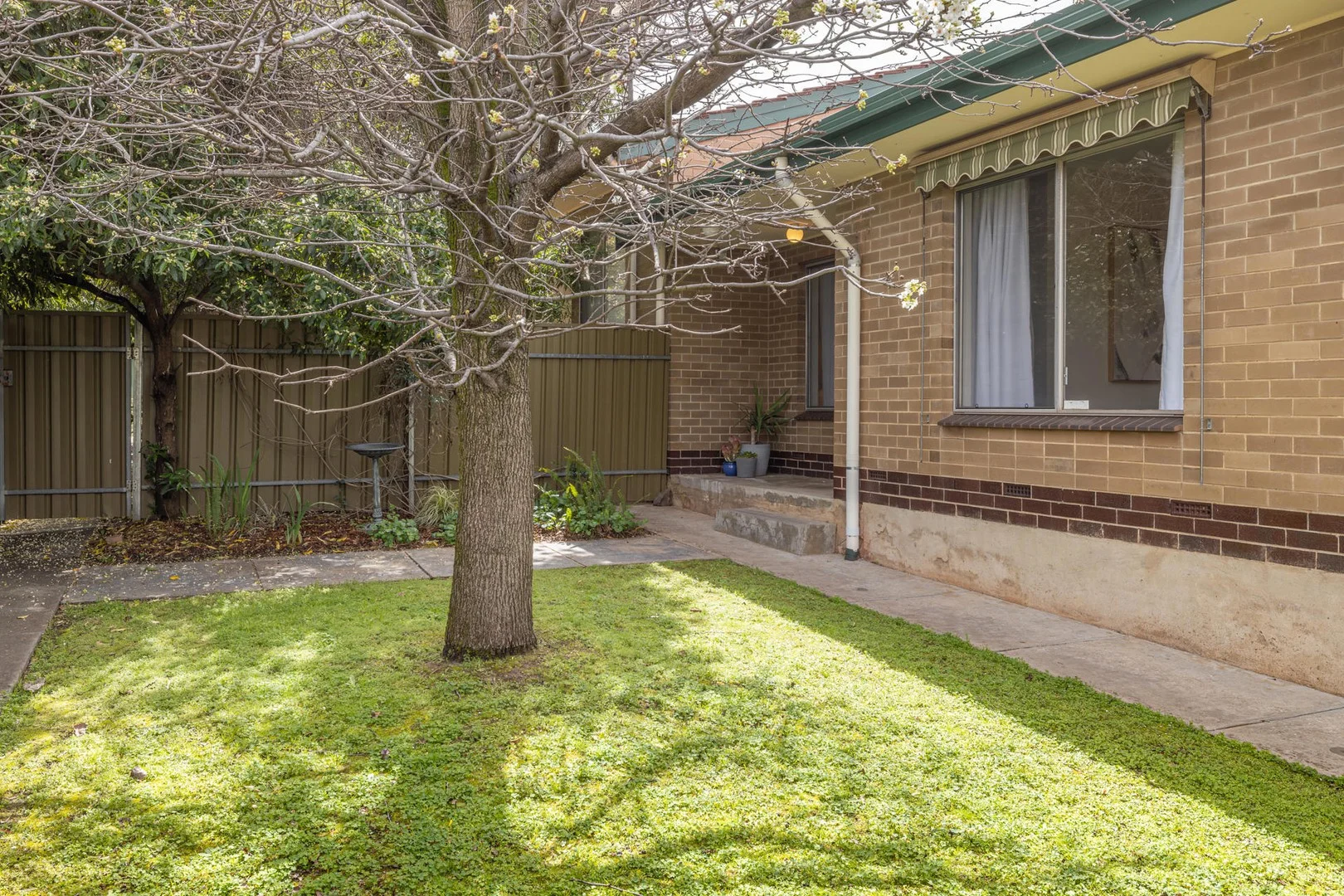 5/58 Gaelic Avenue (1/1)