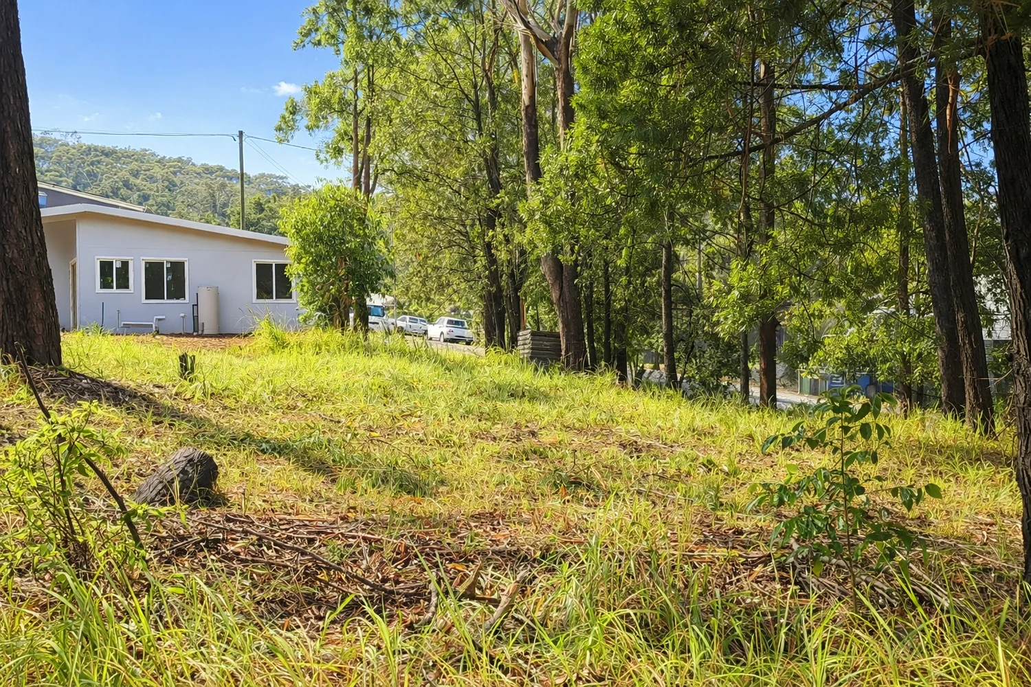 5 Callistemon Street (1/2)