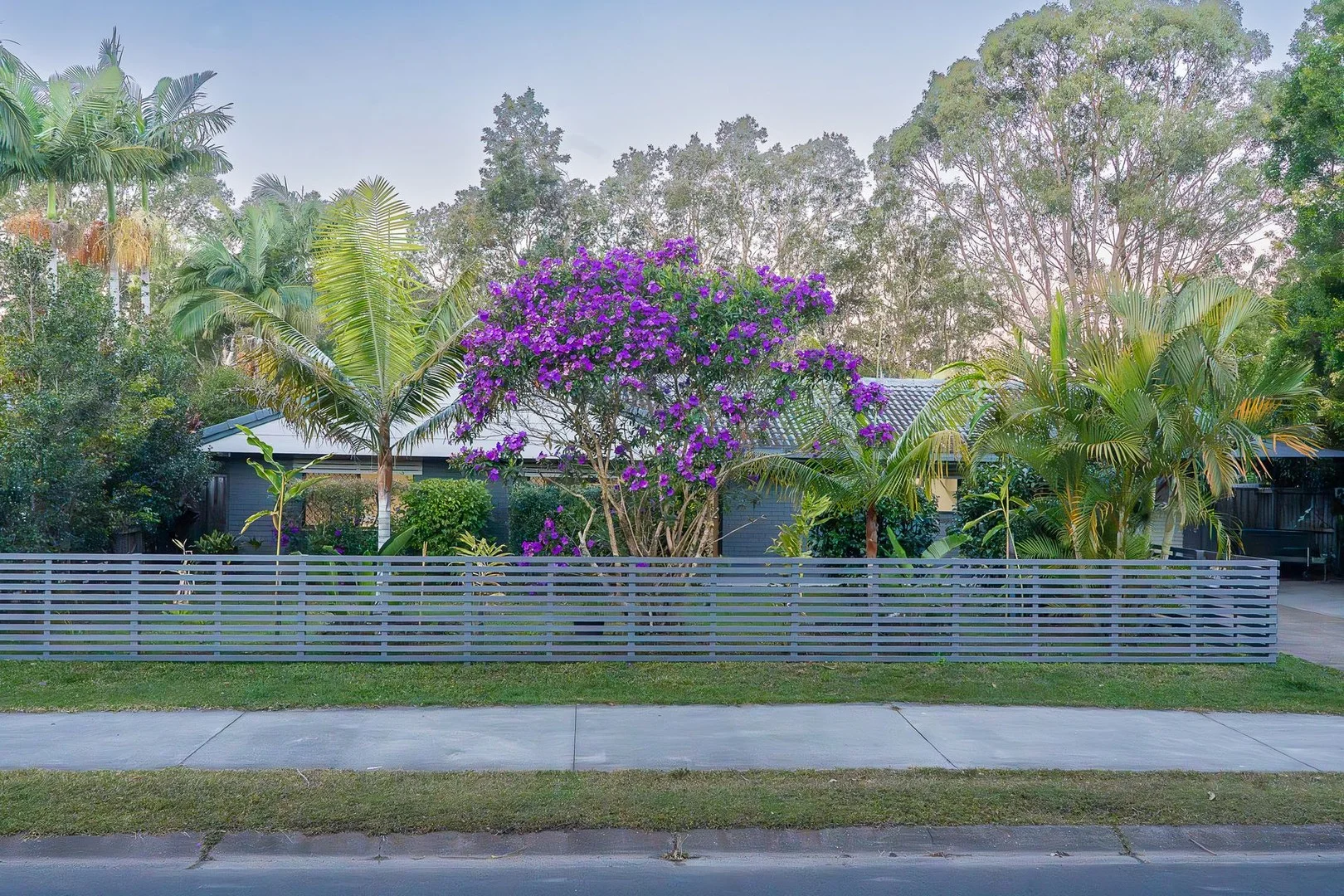 50 Balemo Drive (1/23)