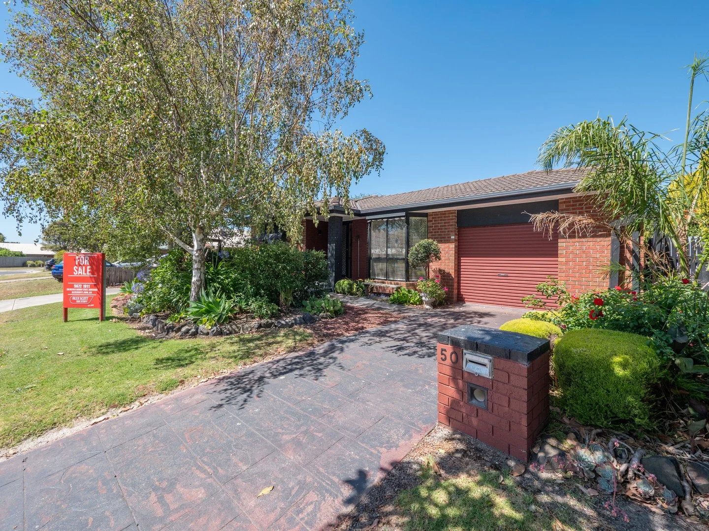 50 Lyndhurst Street (1/19)