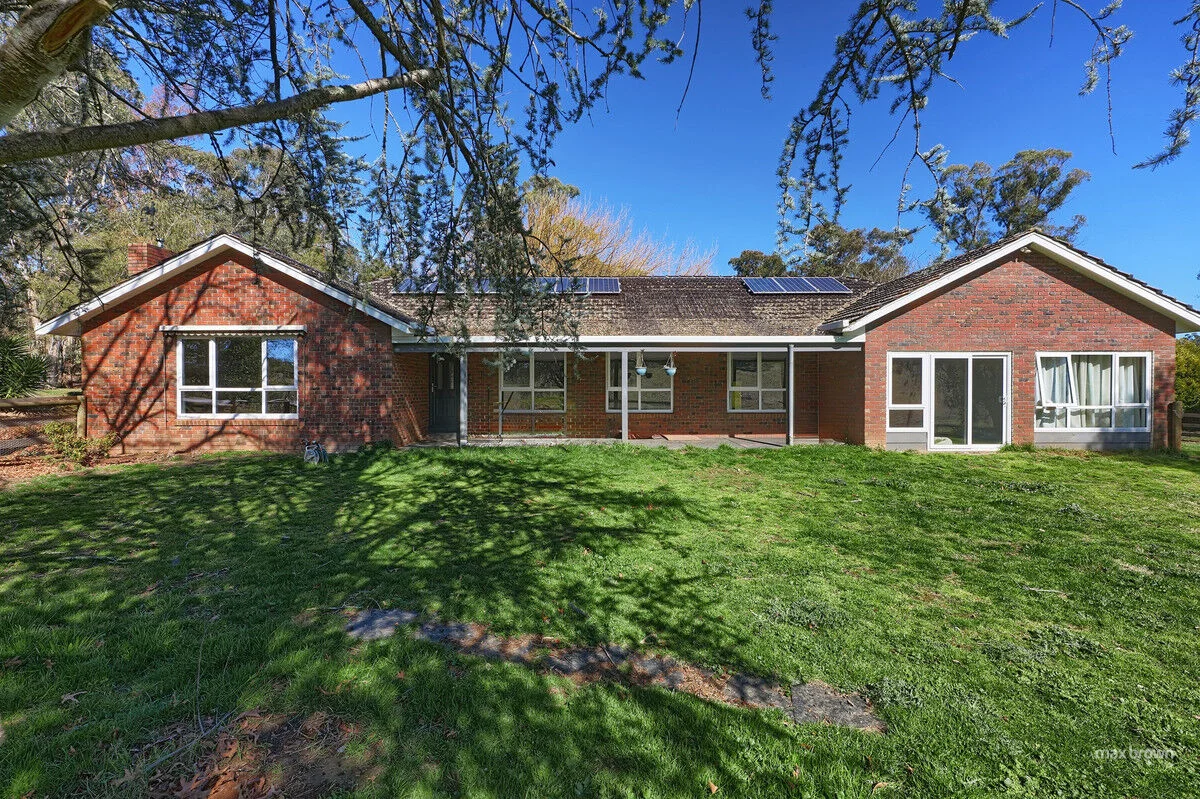 50 Wandin Creek Road (1/31)