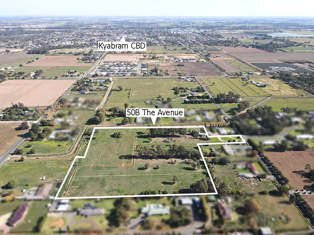 50B The Avenue - Image 2