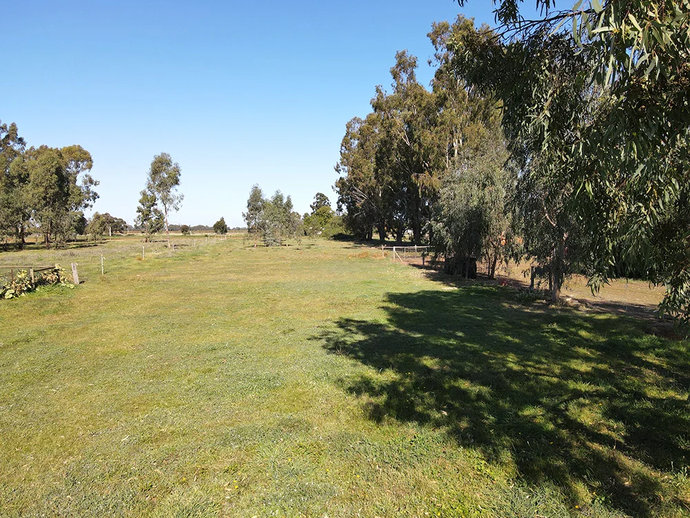 50B The Avenue - Image 5