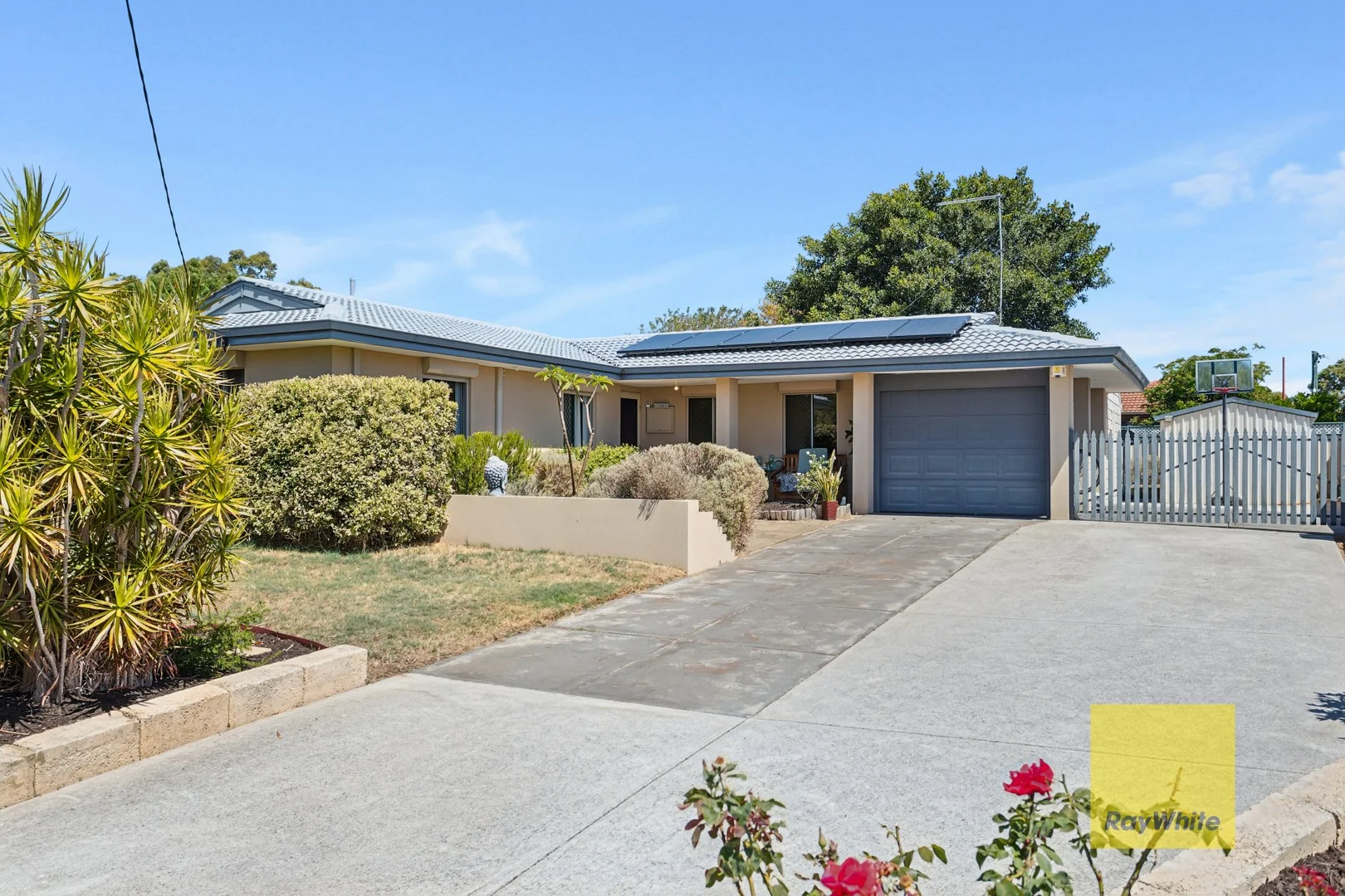 51 Aralia Way (1/32)