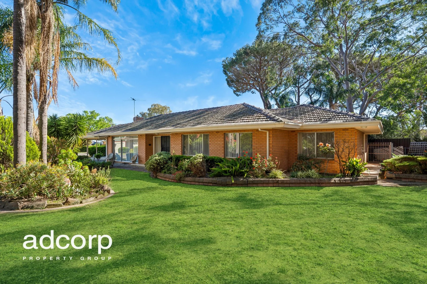 51 Leabrook Drive (1/1)