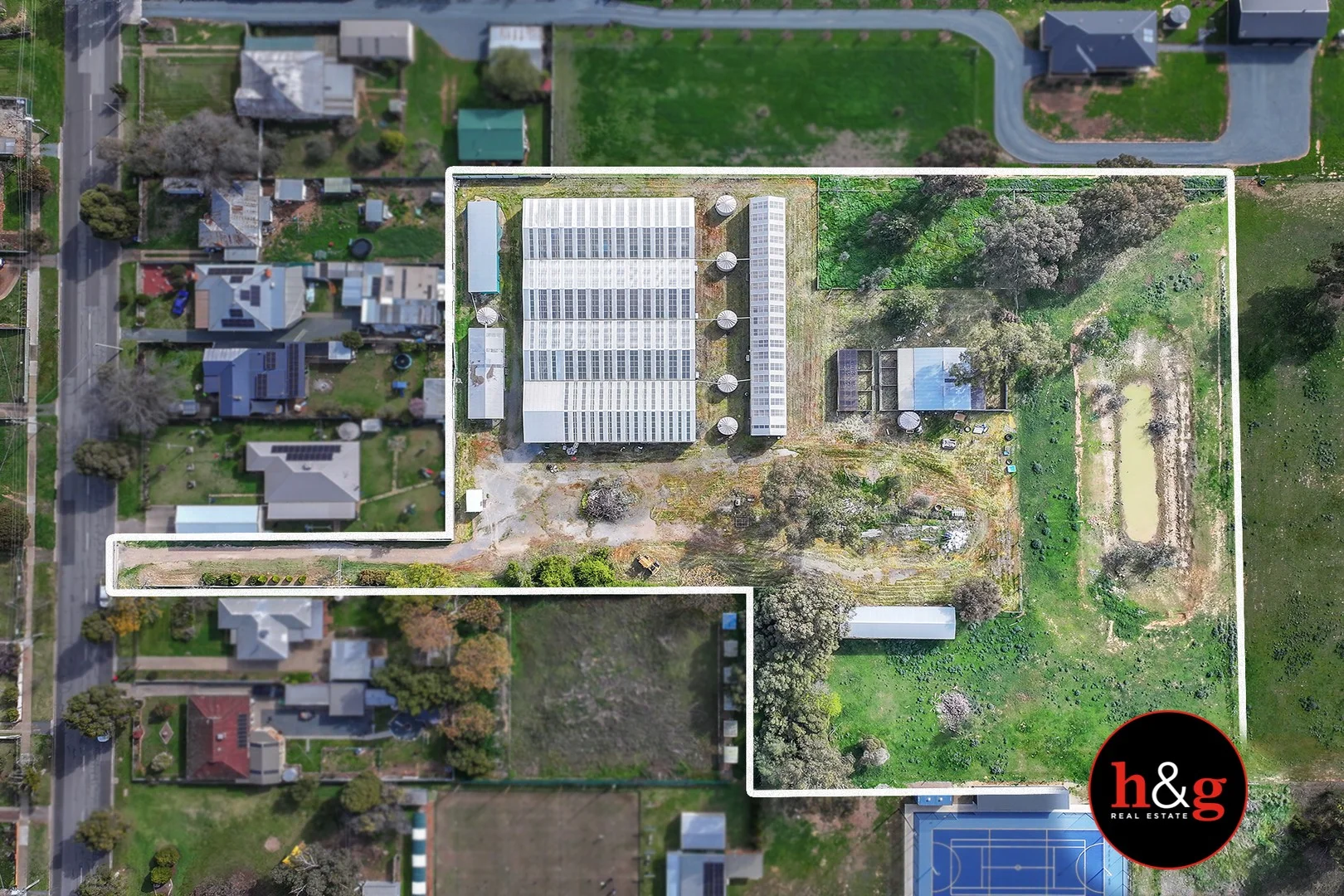 51 Morrissey Street (1/15)