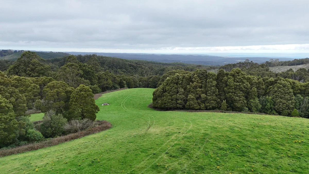 5225 Colac-Lavers Hill Road - Image 4