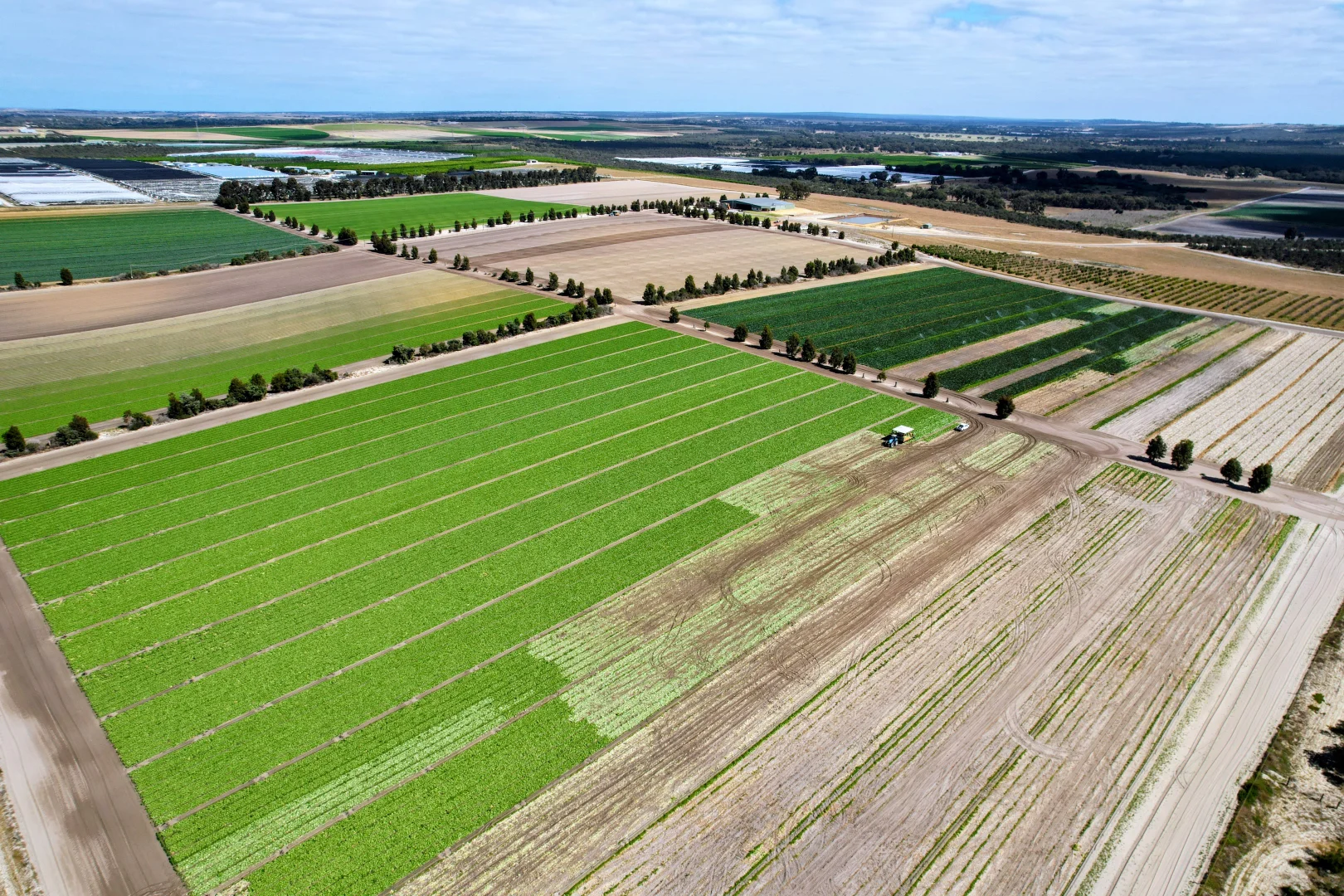 529 Chitna Road Neergabby - Image 3