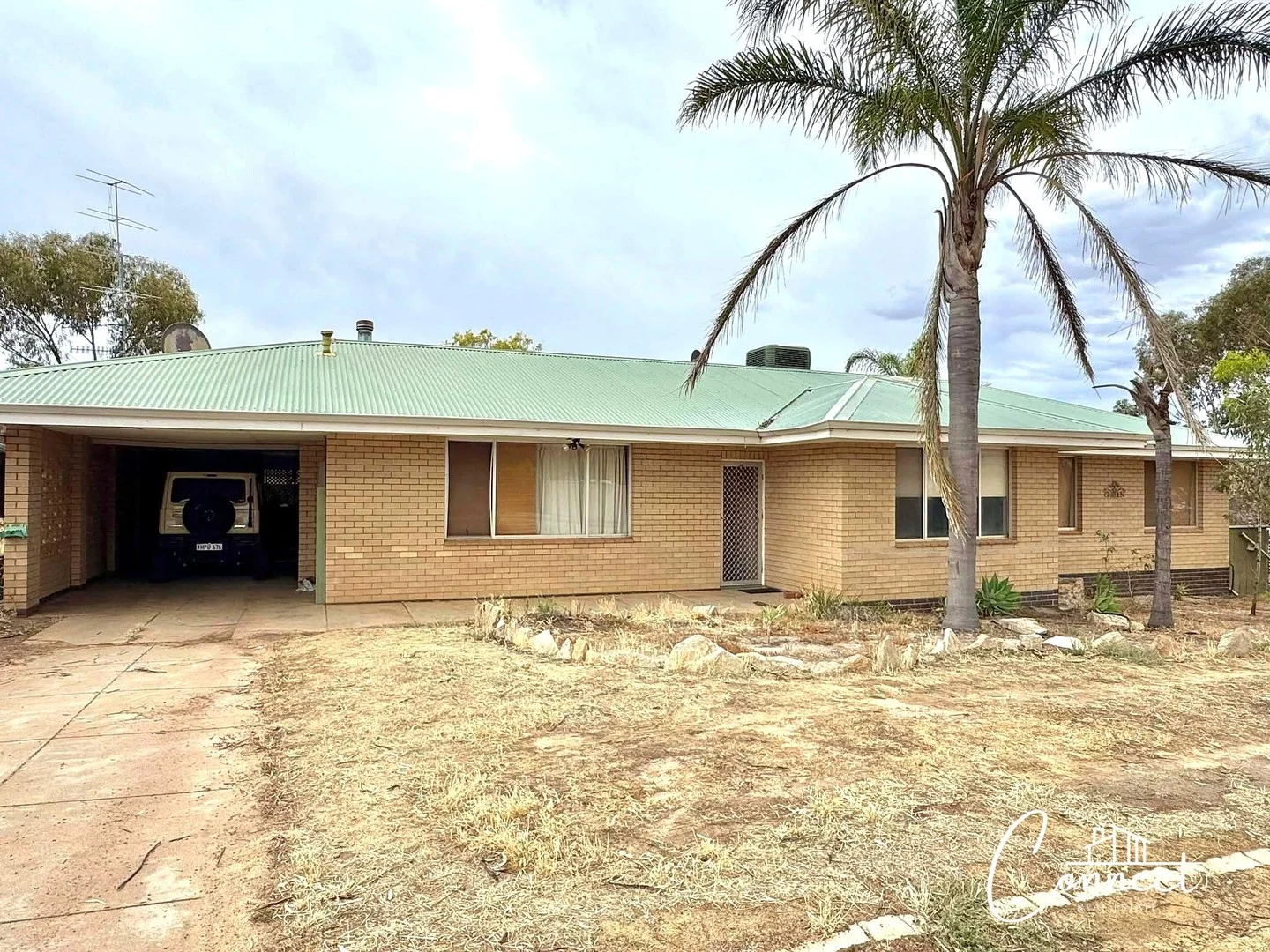 53 Donovan Street (1/1)