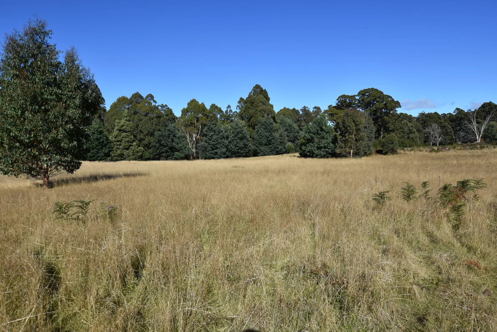 54 Bonney Street - Image 3