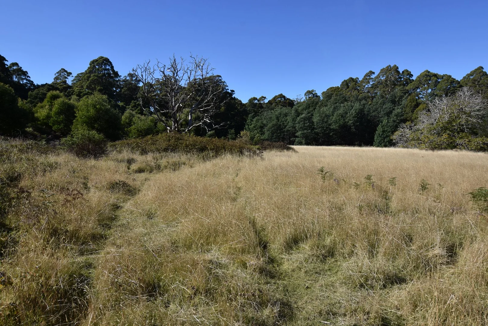 54 Bonney Street - Image 2