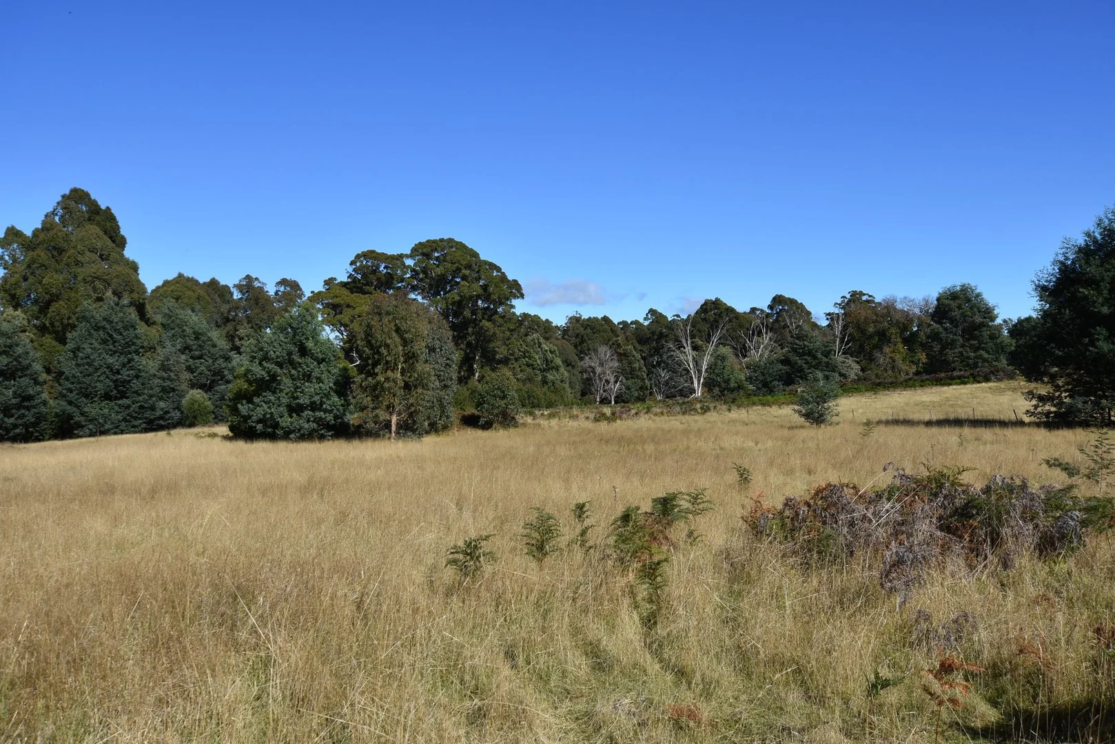 54 Bonney Street - Image 4